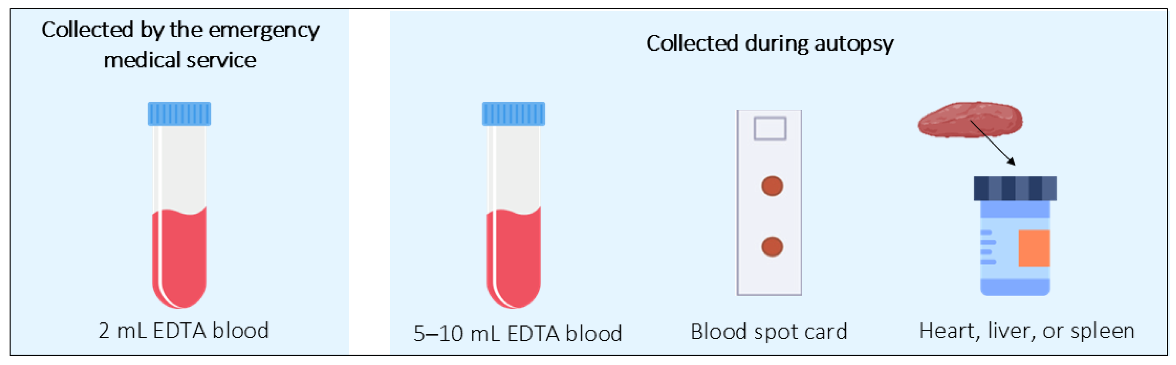 Diagnostics 15 00460 g004