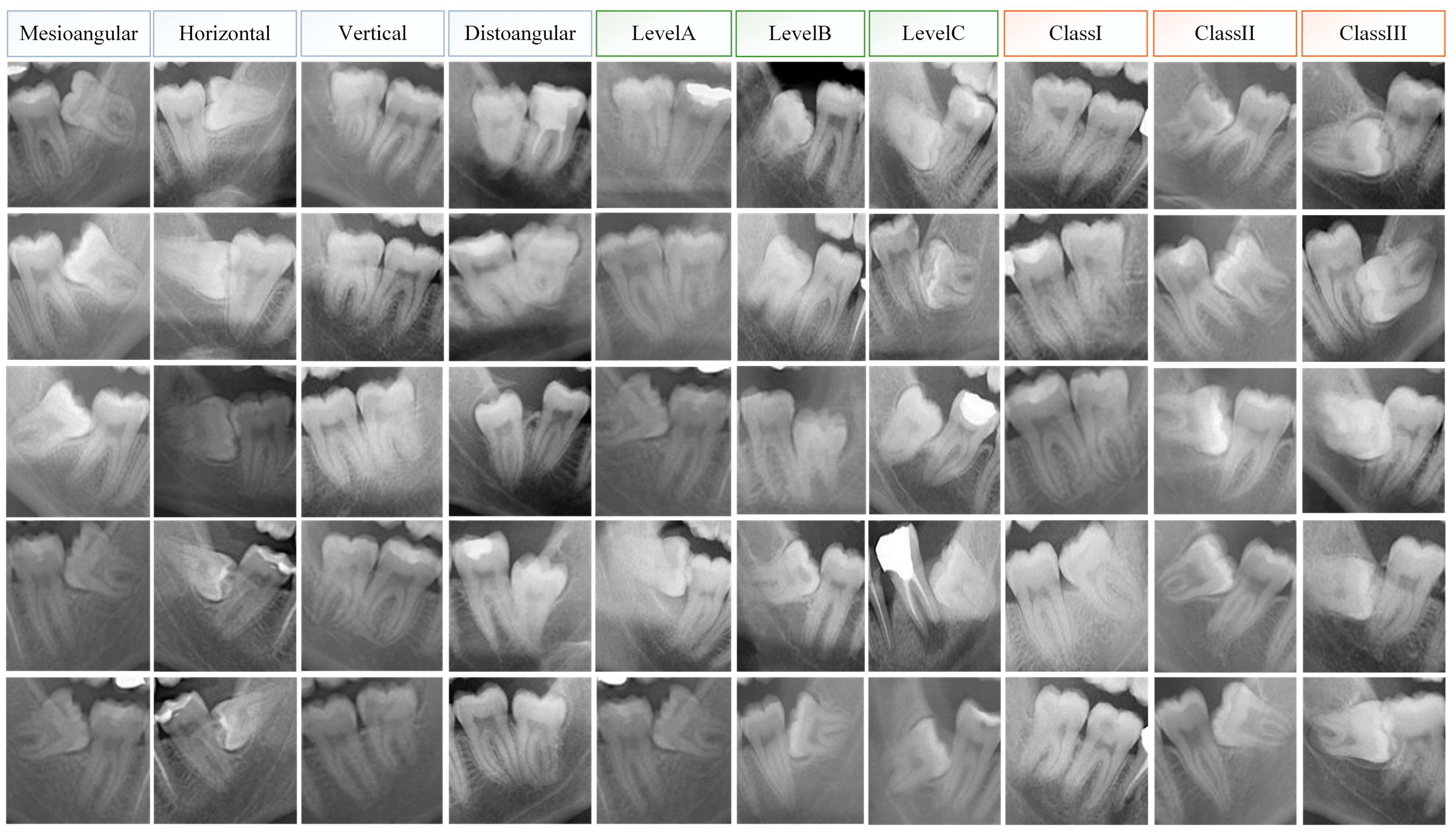 Diagnostics 15 00462 g001