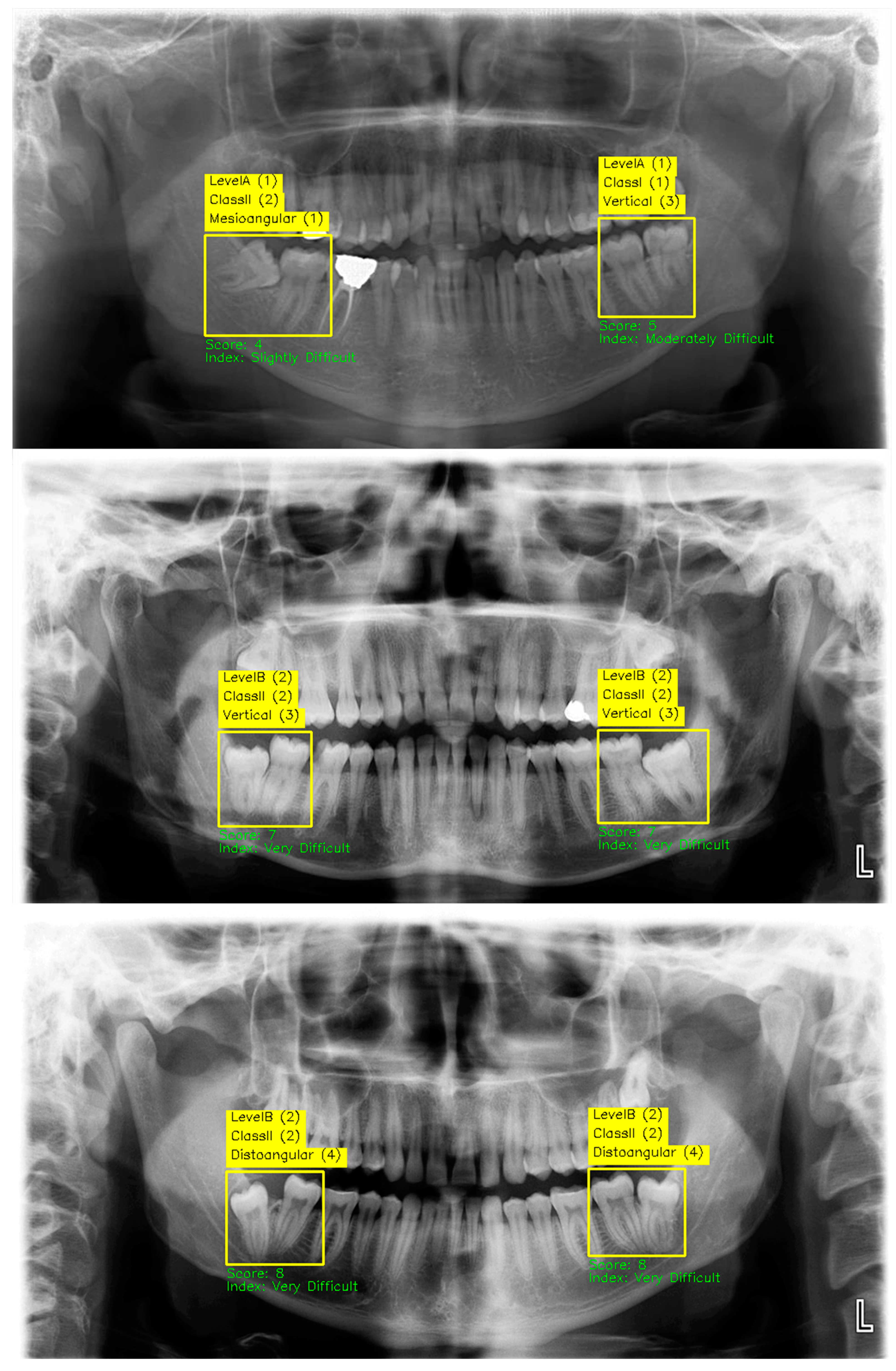 Diagnostics 15 00462 g008