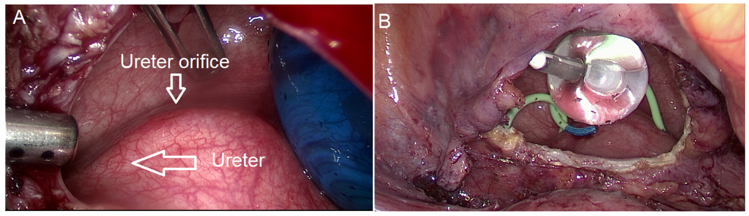 Diagnostics 15 00466 g005