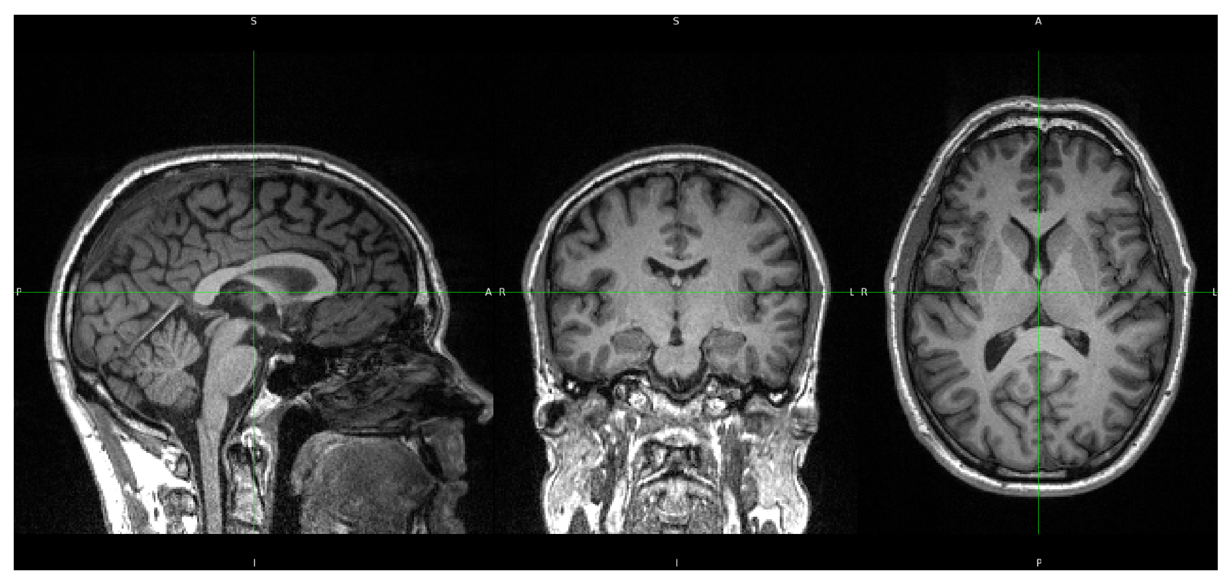 Diagnostics 15 00470 g001