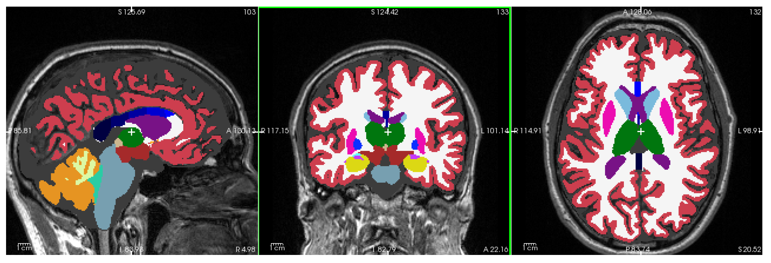 Diagnostics 15 00470 g002