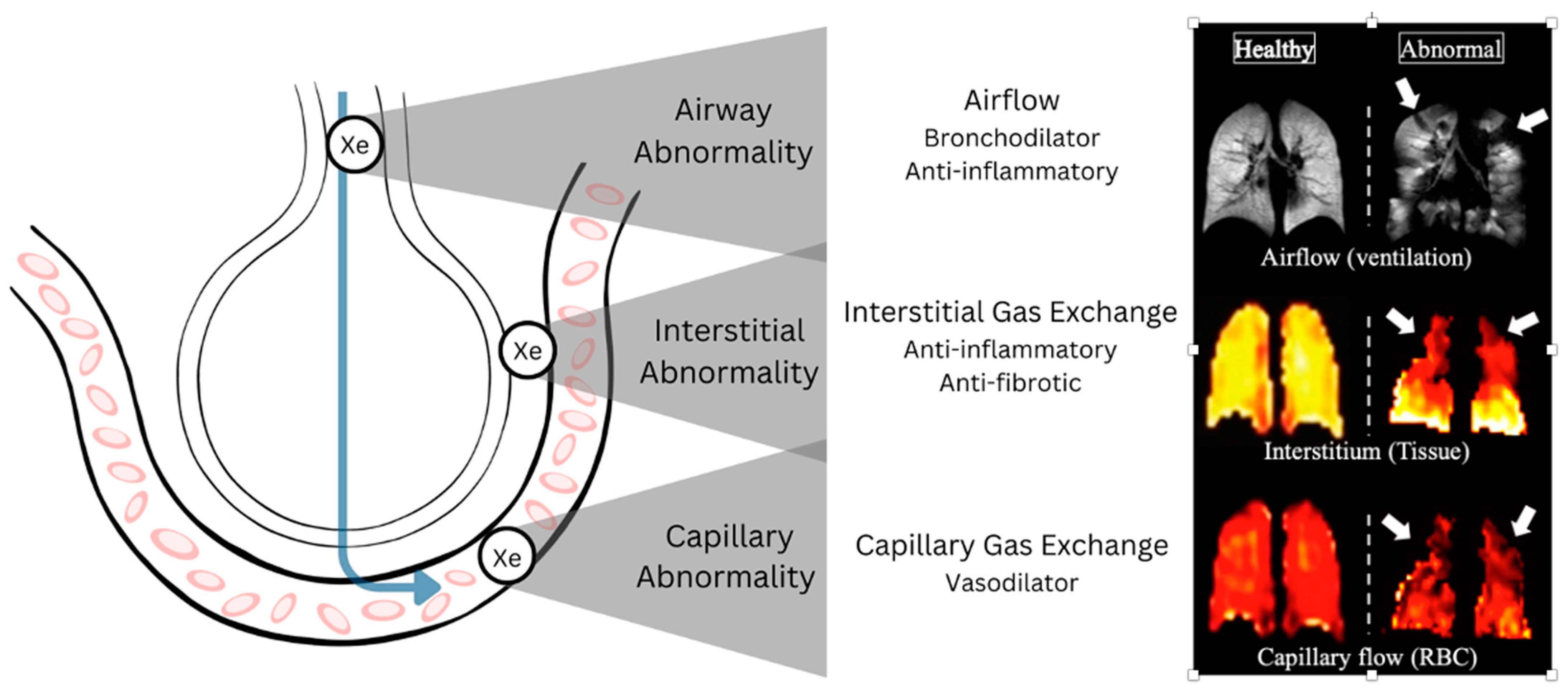 Diagnostics 15 00474 g001