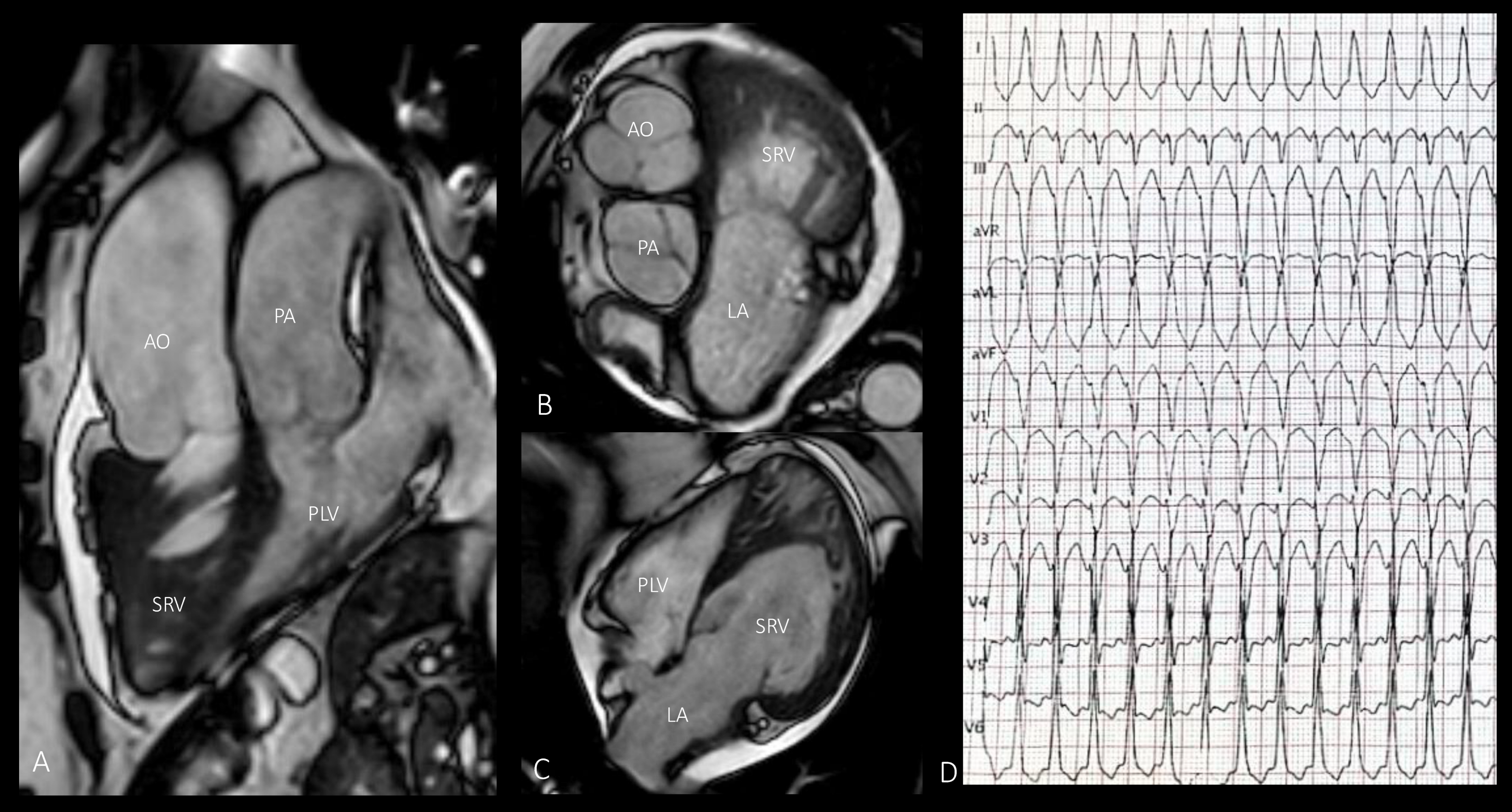Diagnostics 15 00481 g001