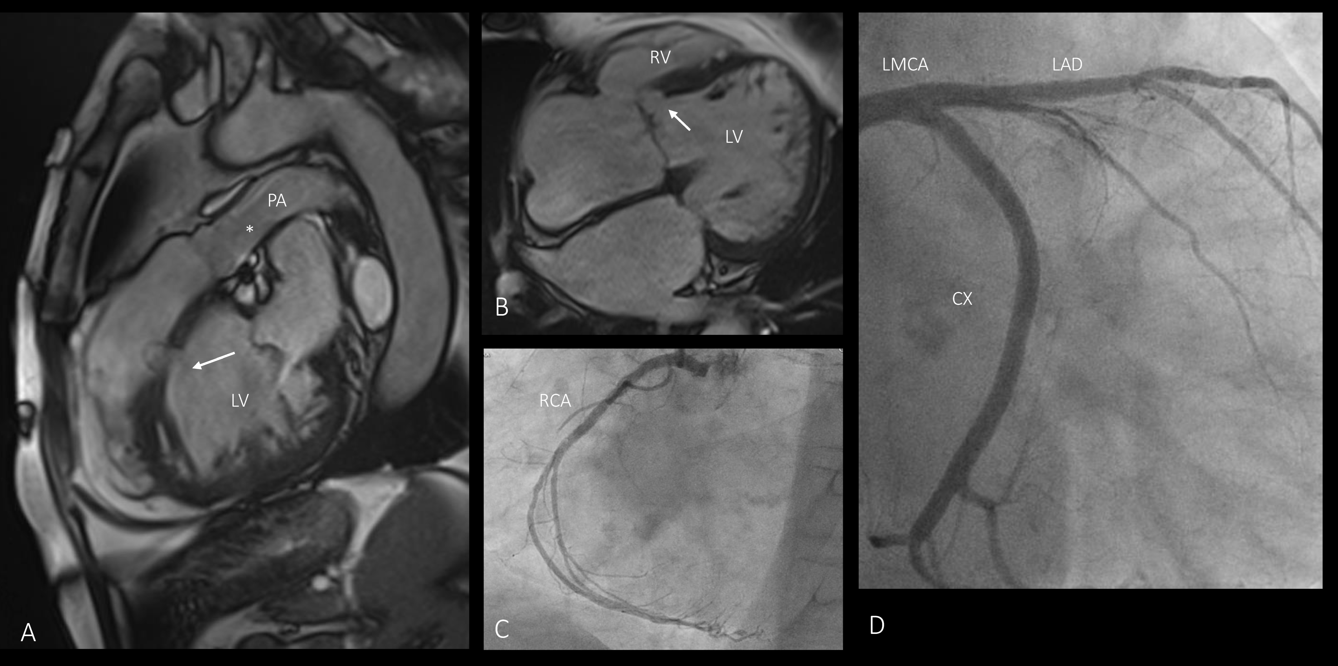 Diagnostics 15 00481 g002
