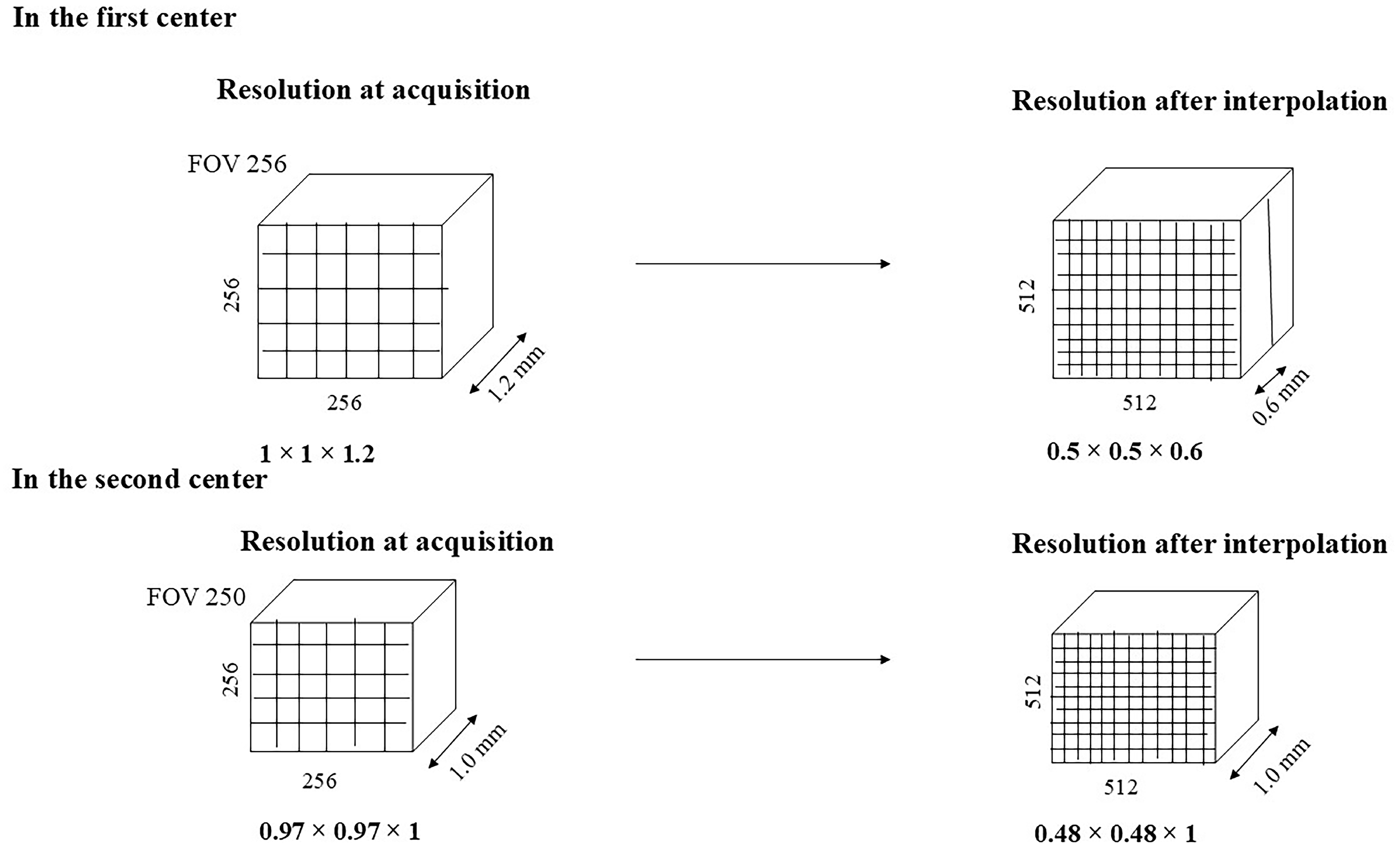 Diagnostics 15 00485 g001