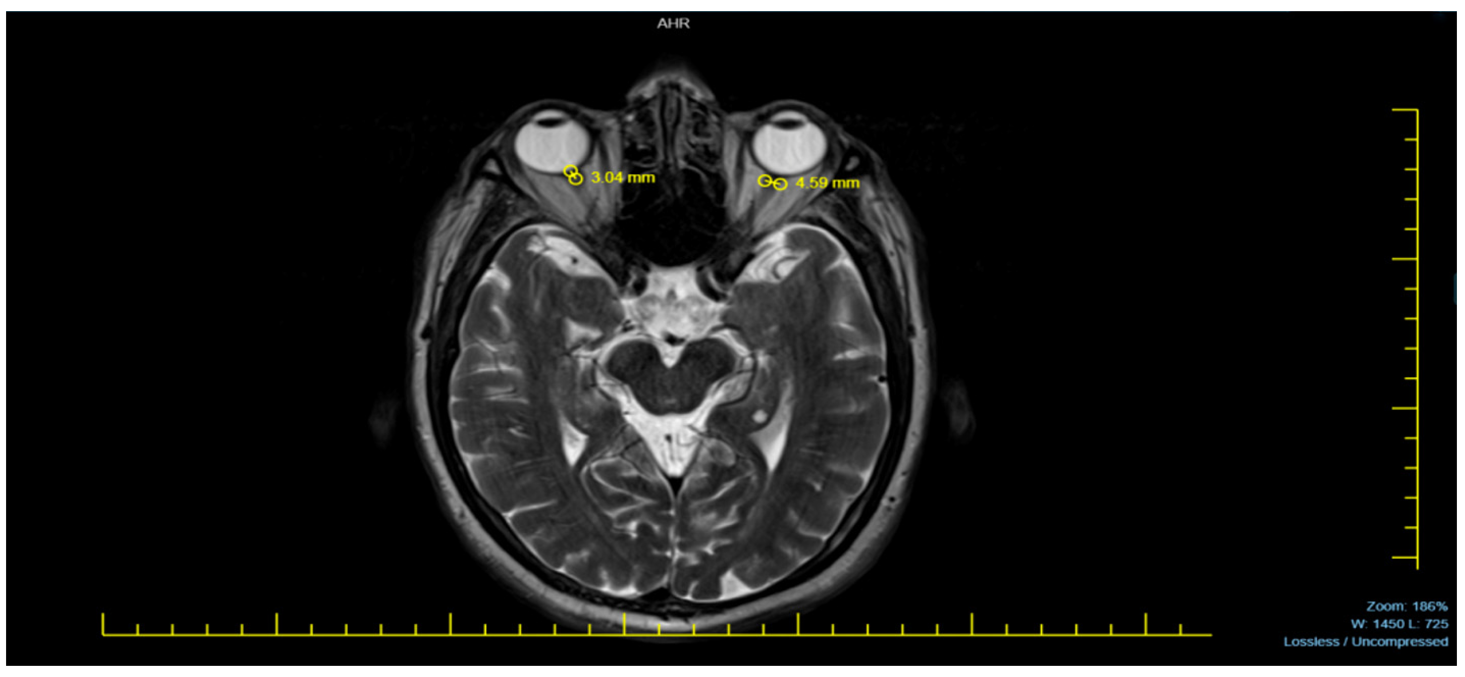 Diagnostics 15 00490 g001