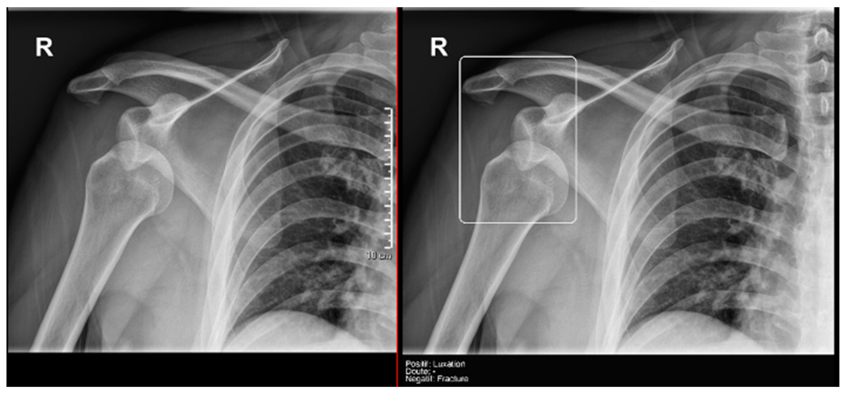 Diagnostics 15 00491 g009