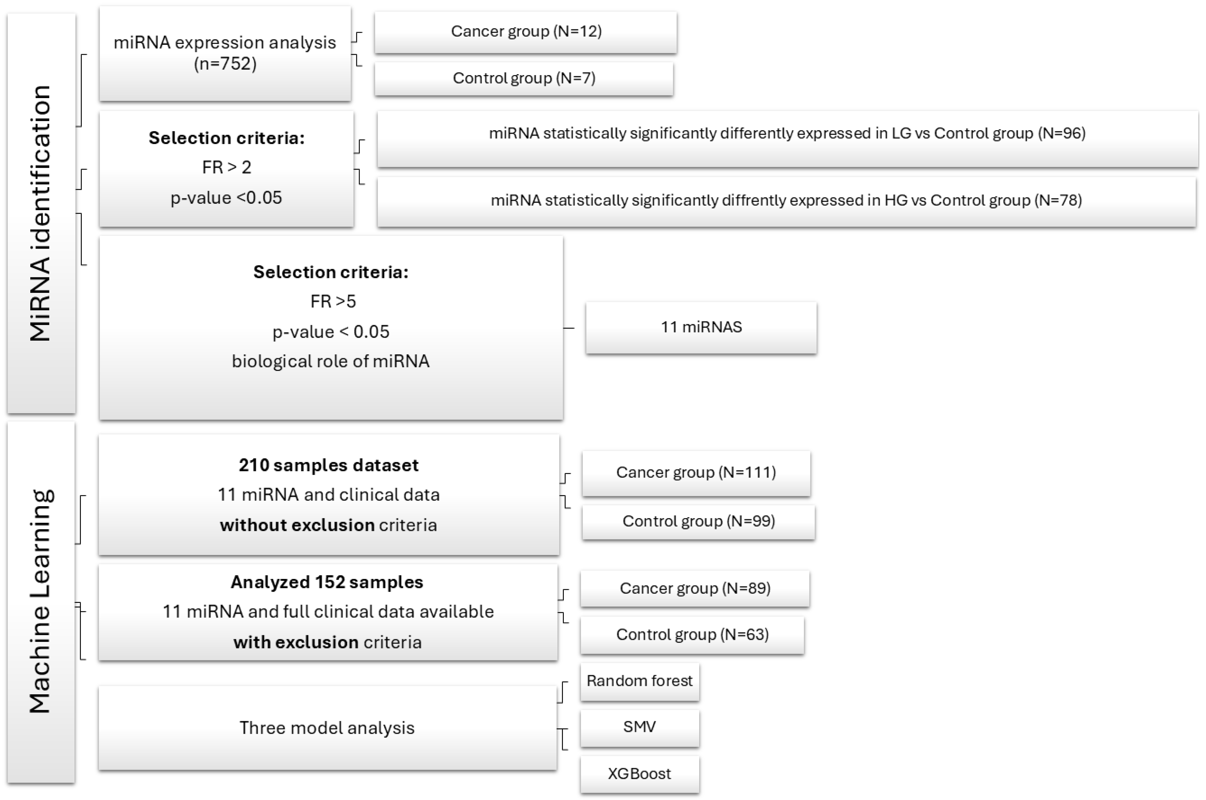 Diagnostics 15 00492 g001