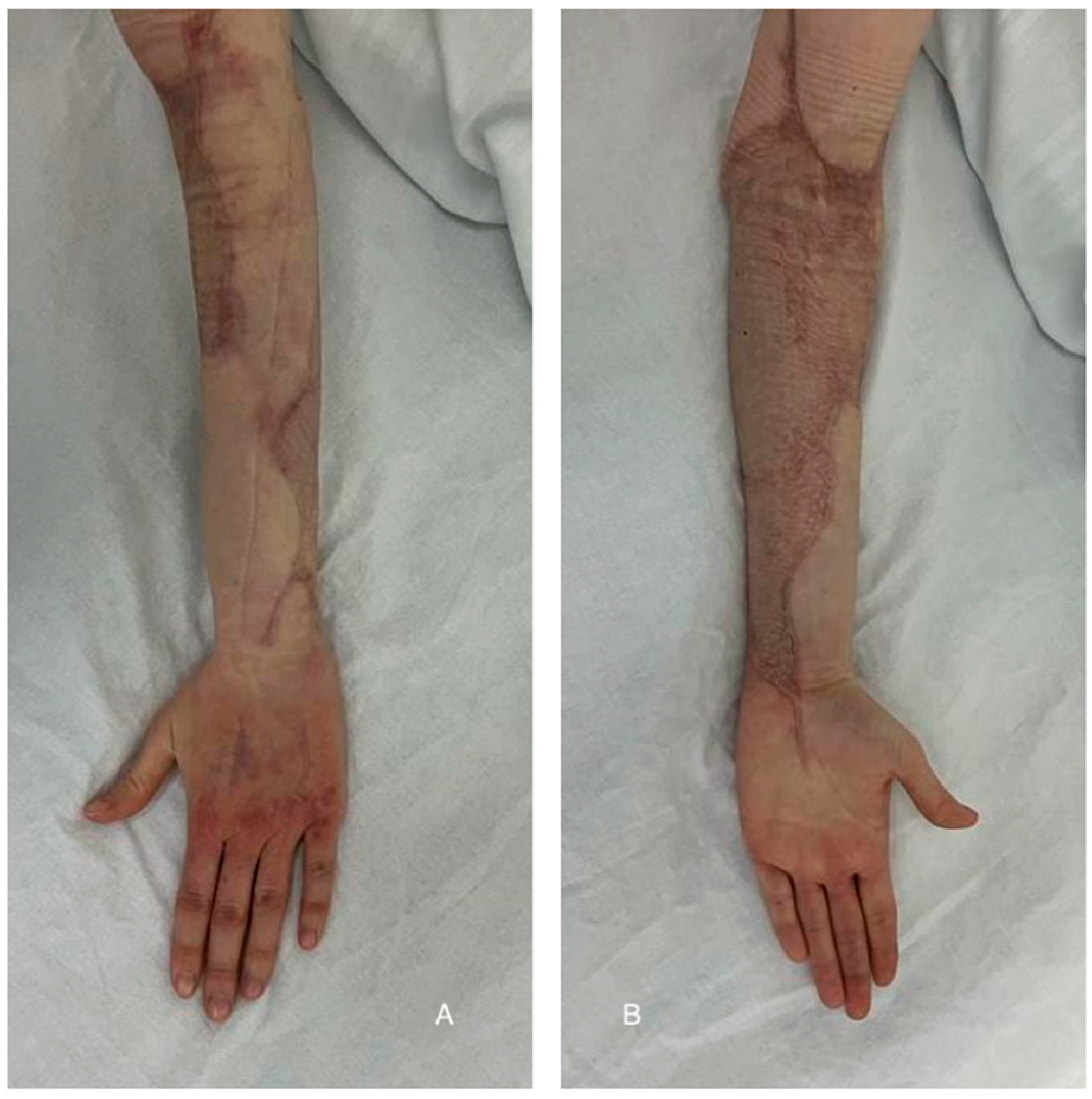 Diagnostics 15 00495 g005