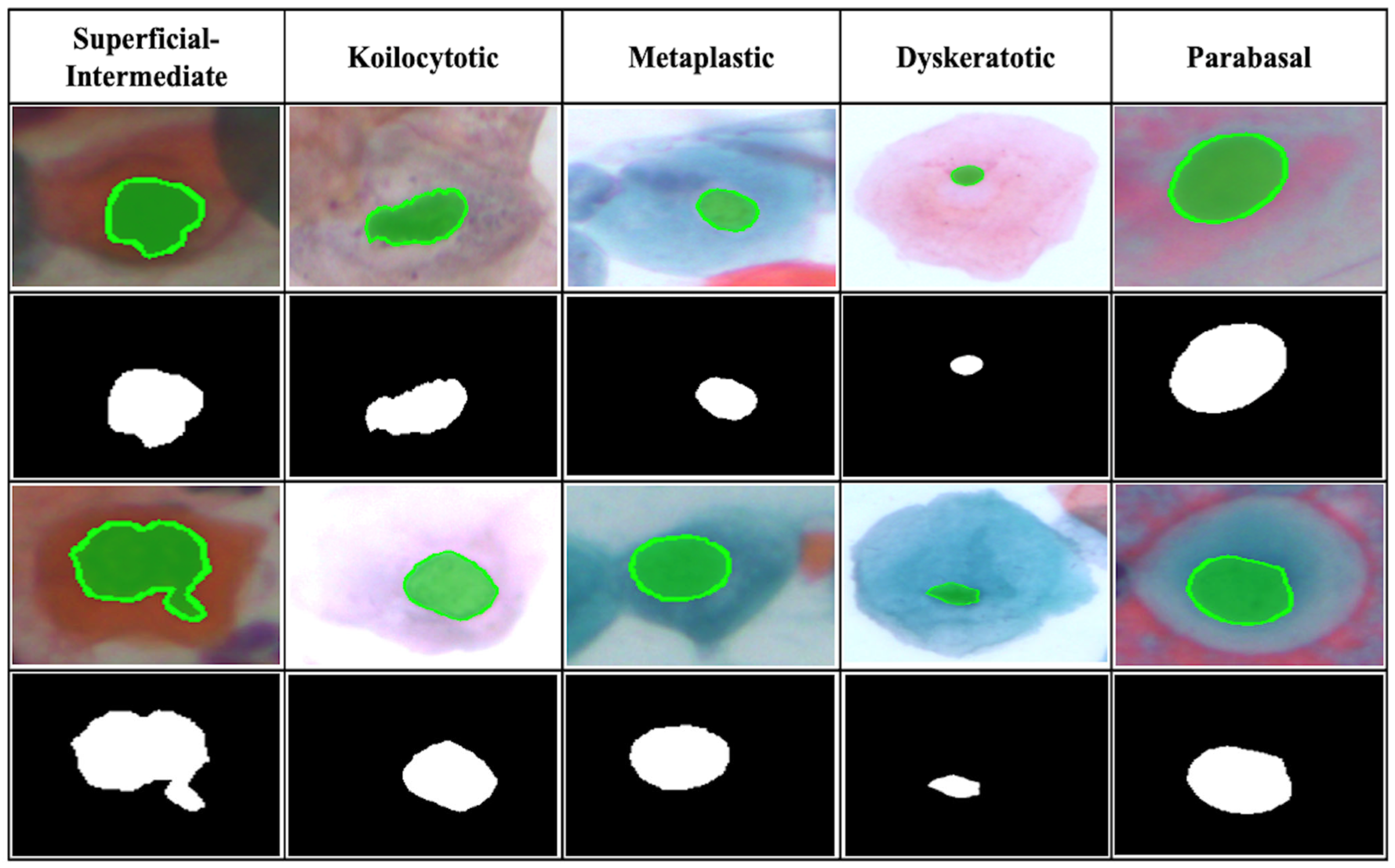 Diagnostics 15 00513 g003