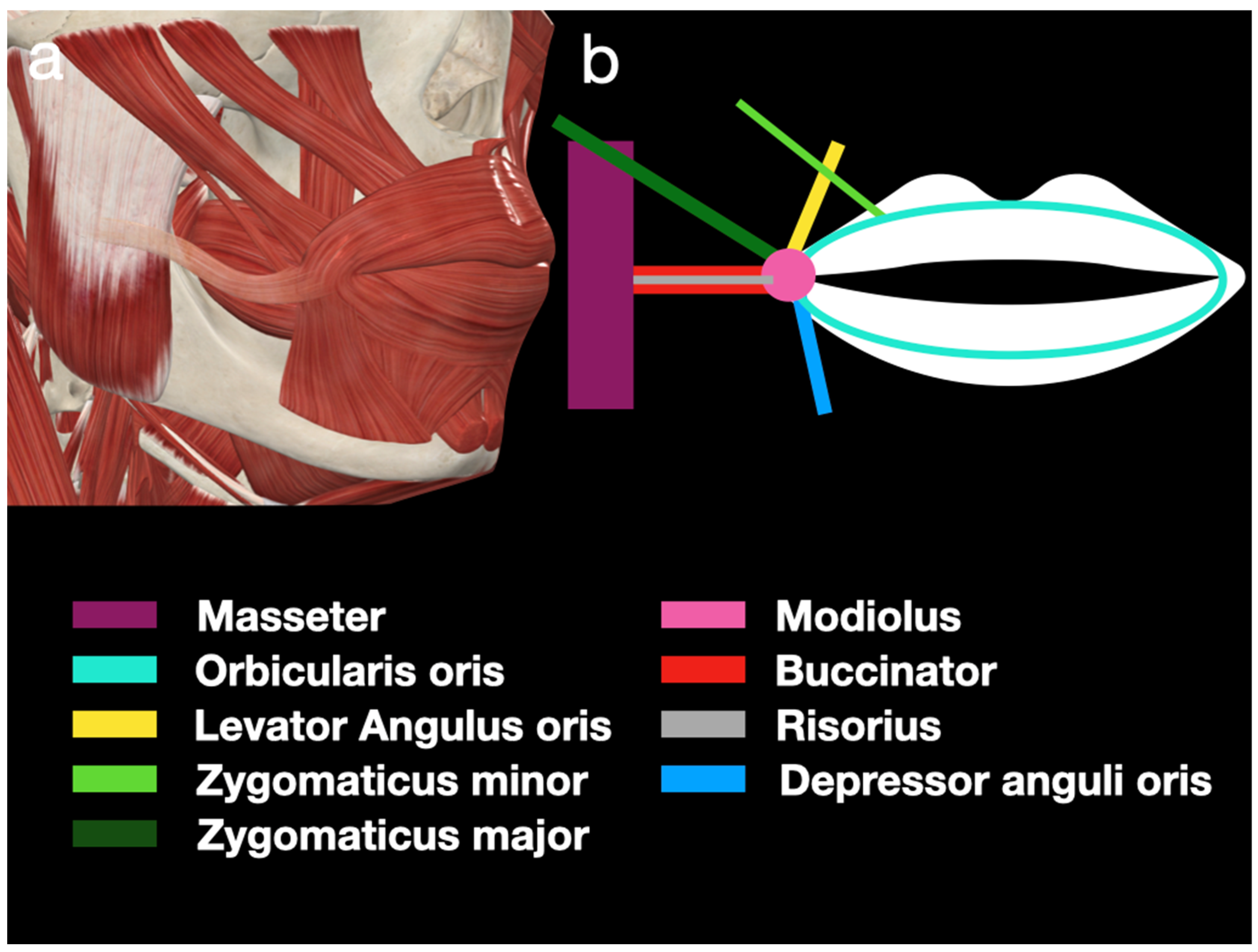 Diagnostics 15 00514 g001