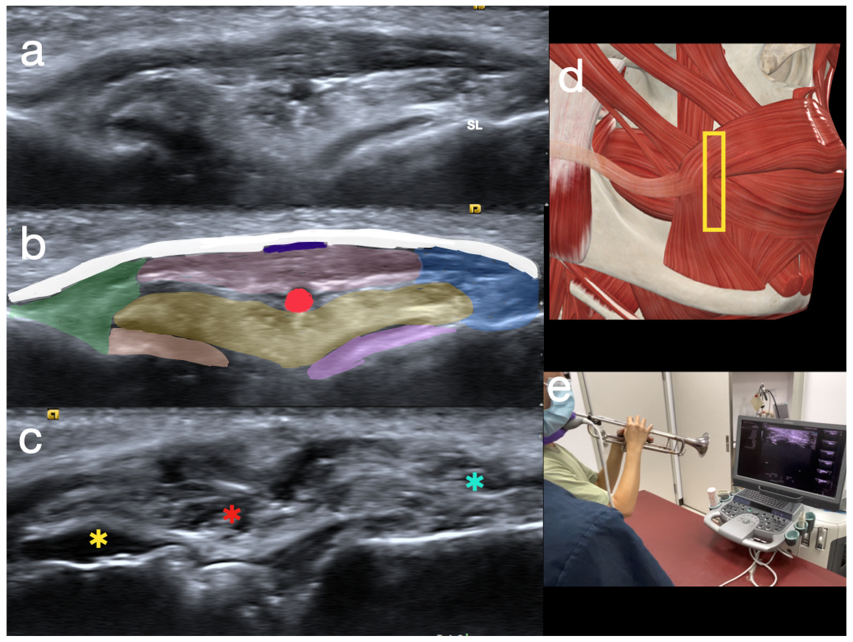 Diagnostics 15 00514 g005