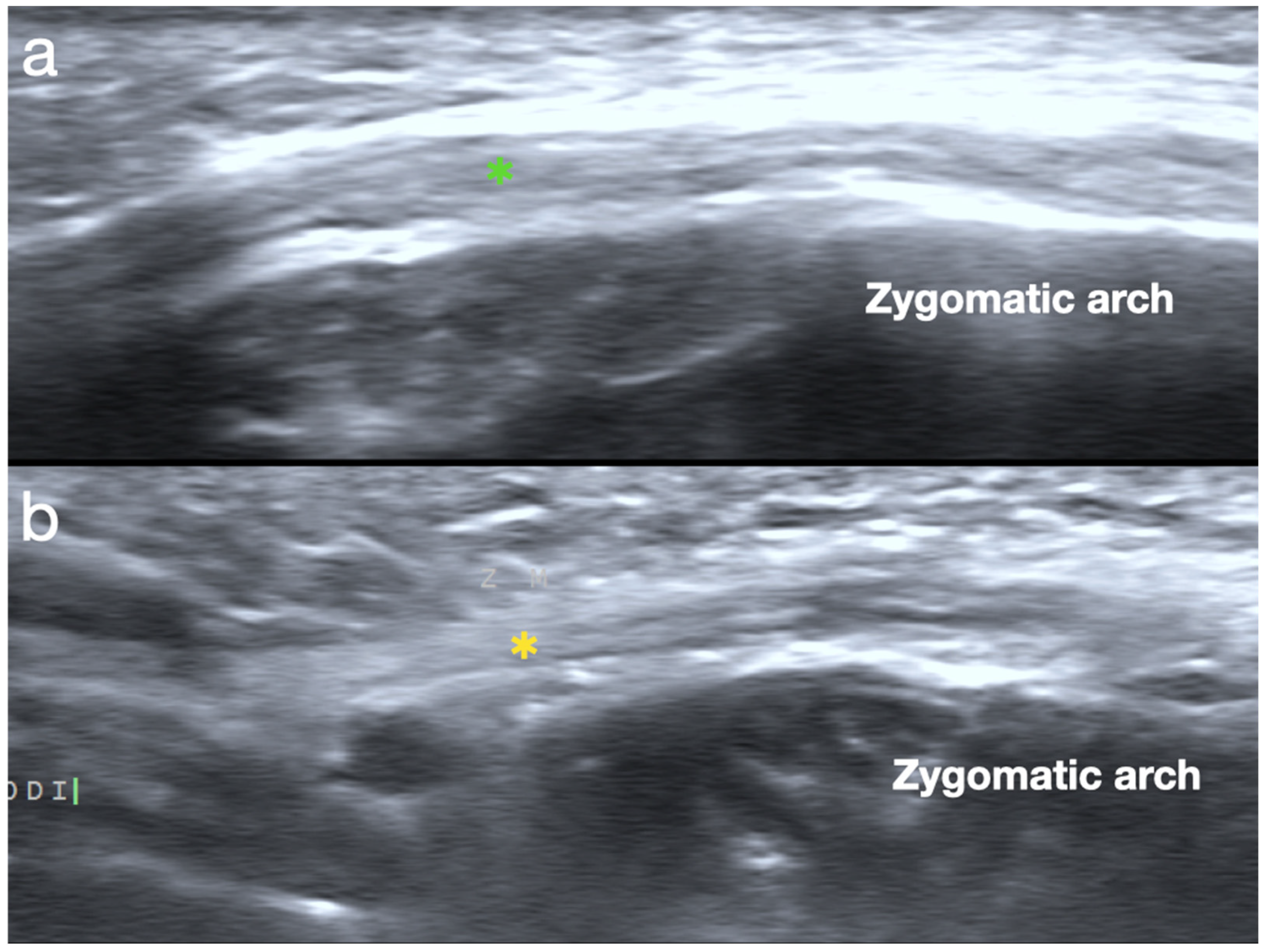 Diagnostics 15 00514 g007