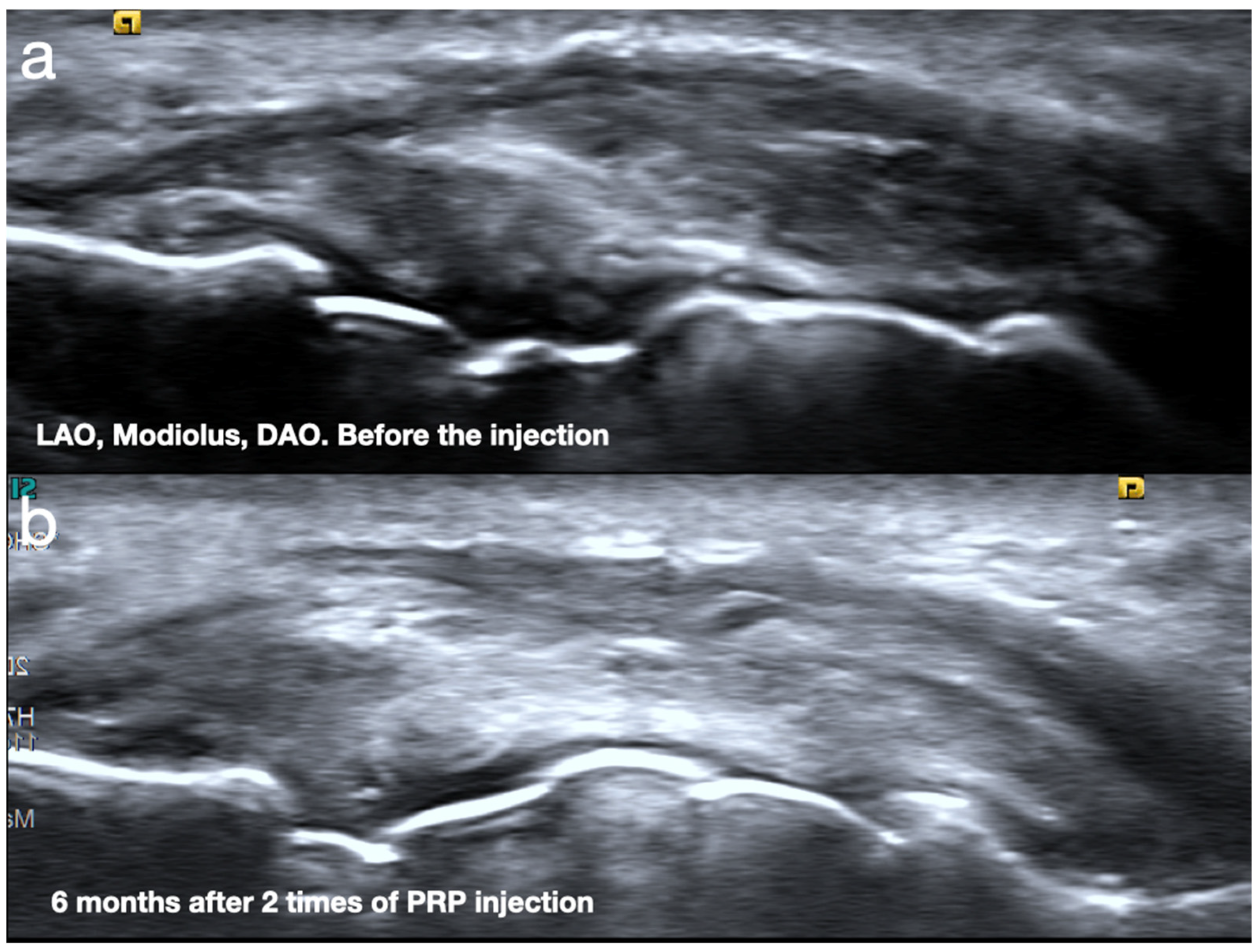Diagnostics 15 00514 g008