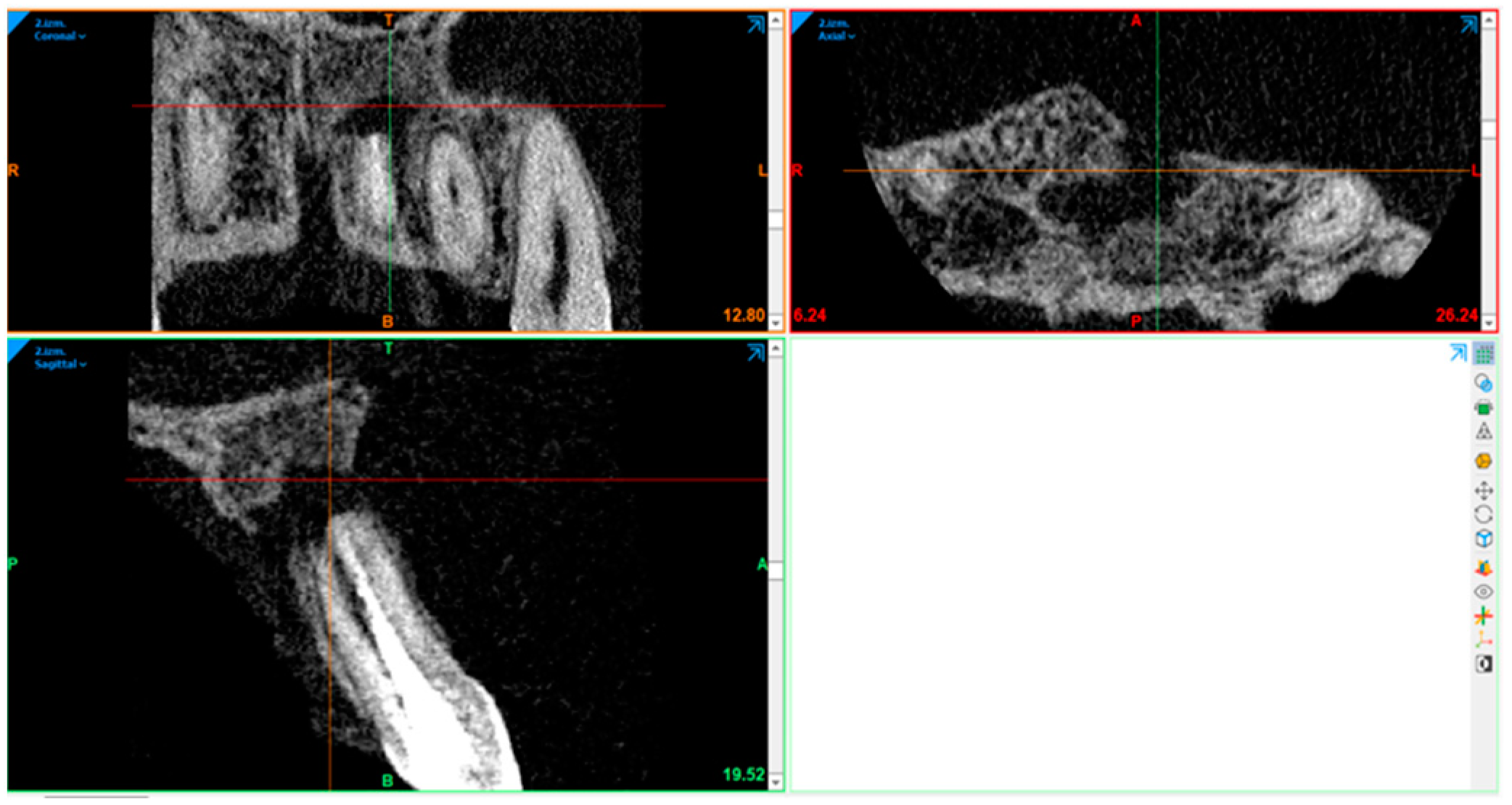 Diagnostics 15 00516 g009