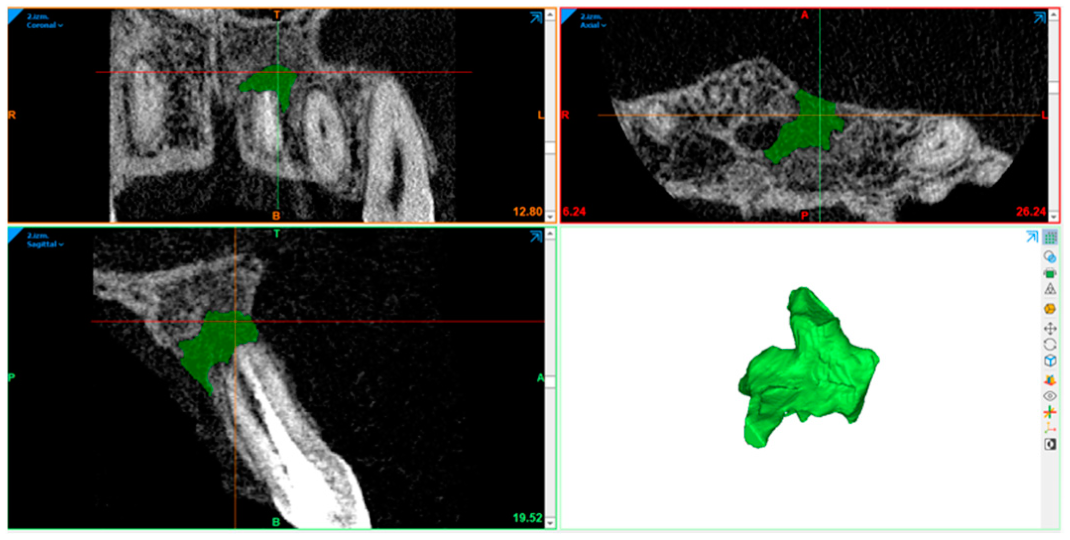 Diagnostics 15 00516 g010