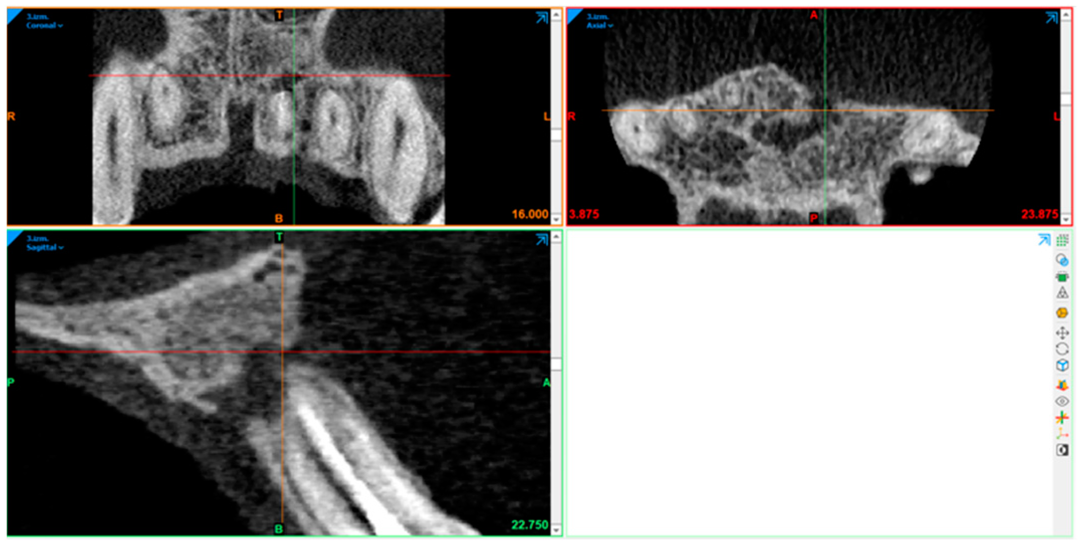 Diagnostics 15 00516 g011