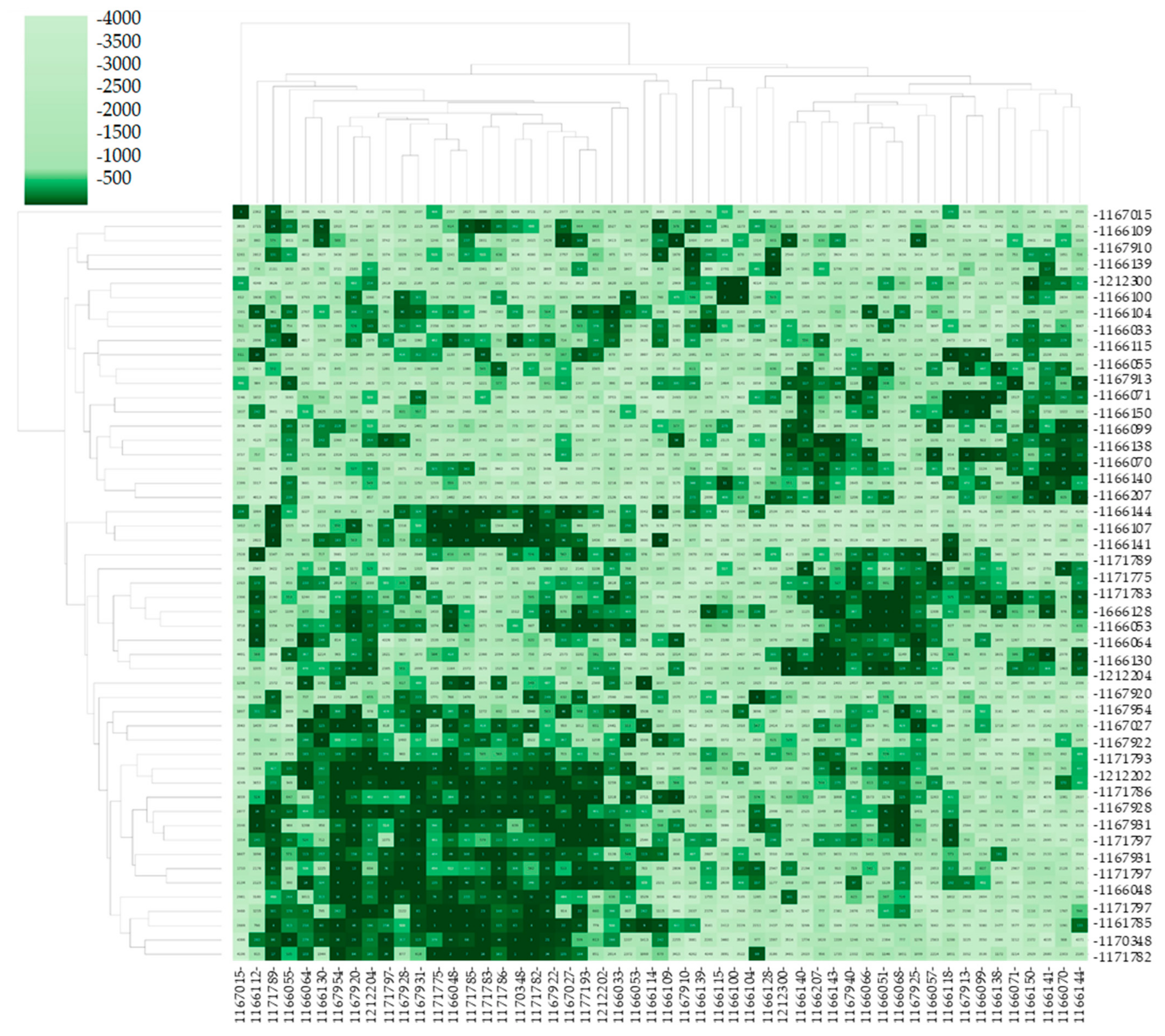 Diagnostics 15 00521 g007 Diagnostics 15 00521 g007