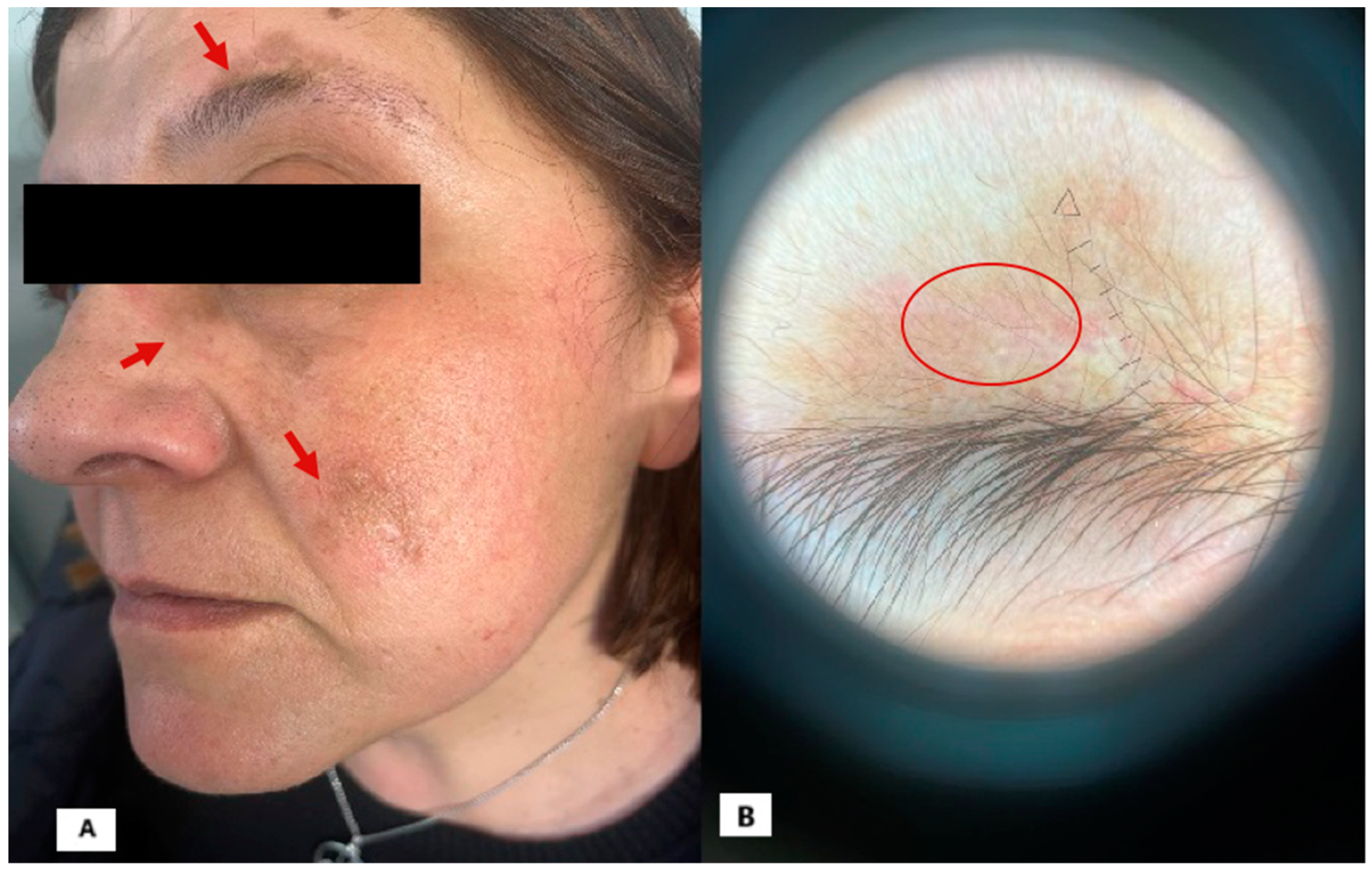 Diagnostics 15 00522 g002