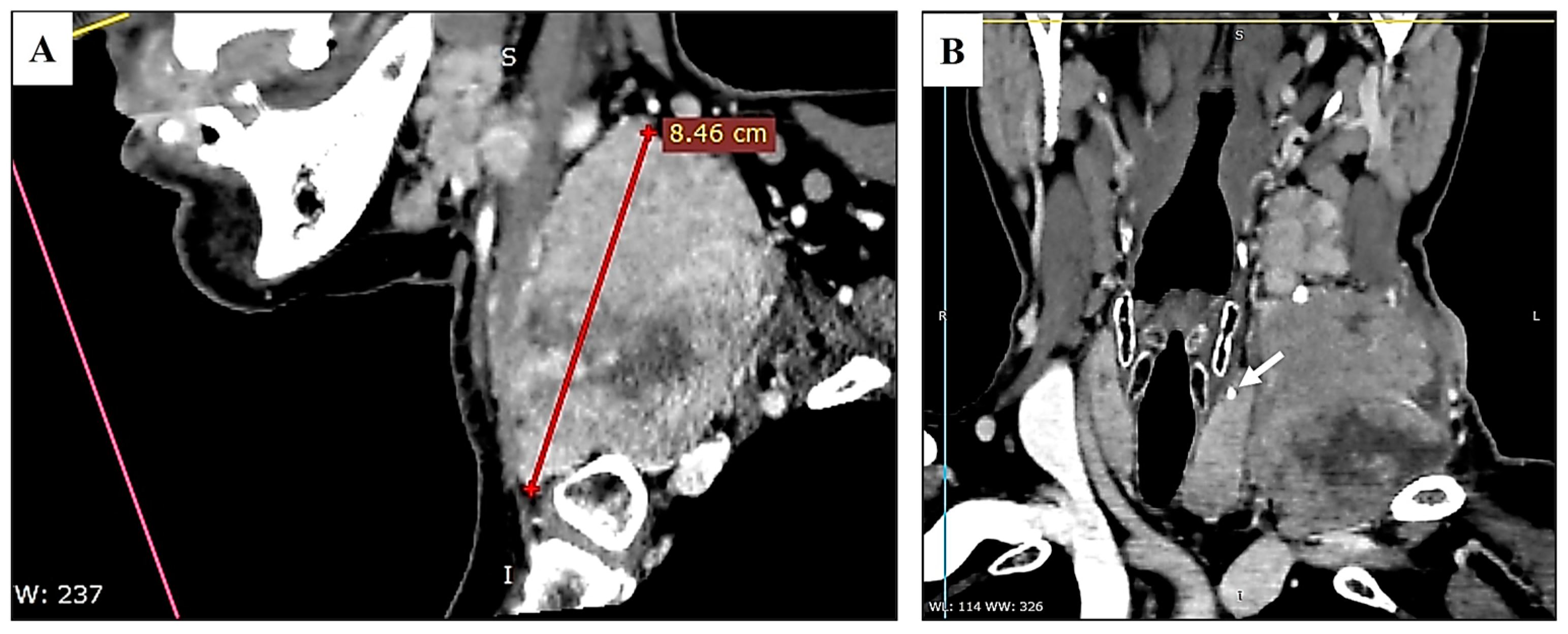 Diagnostics 15 00523 g001