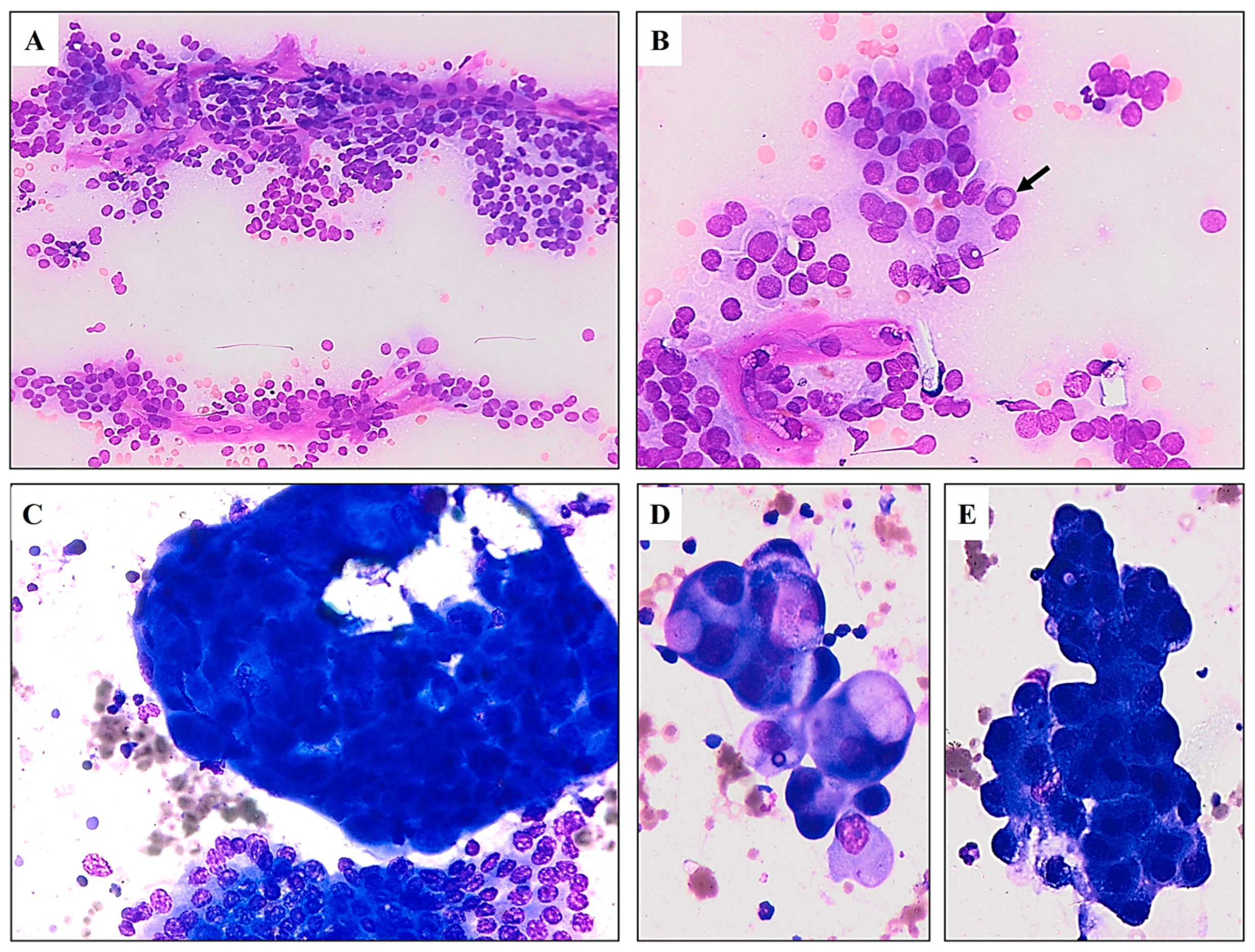 Diagnostics 15 00523 g002