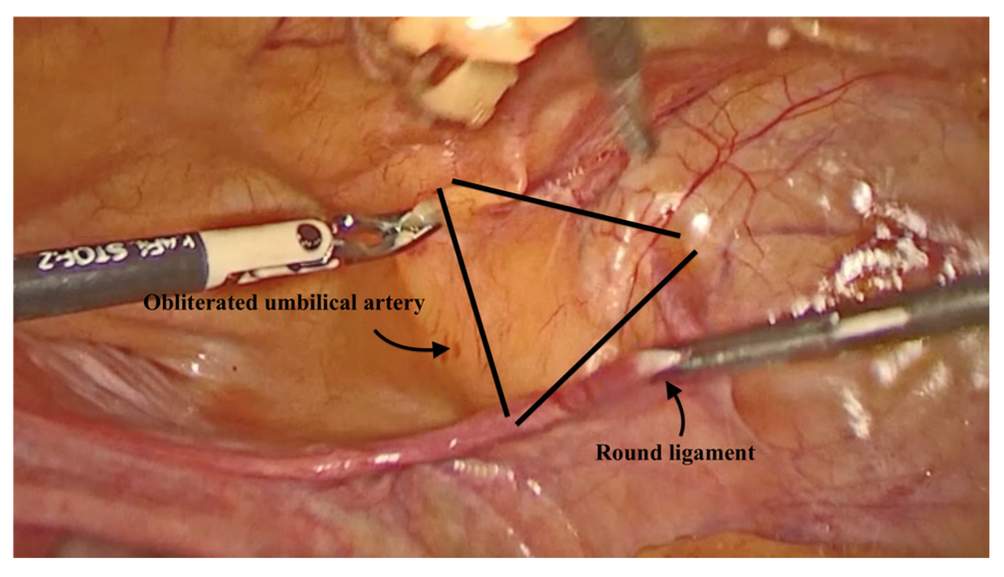 Diagnostics 15 00526 g002