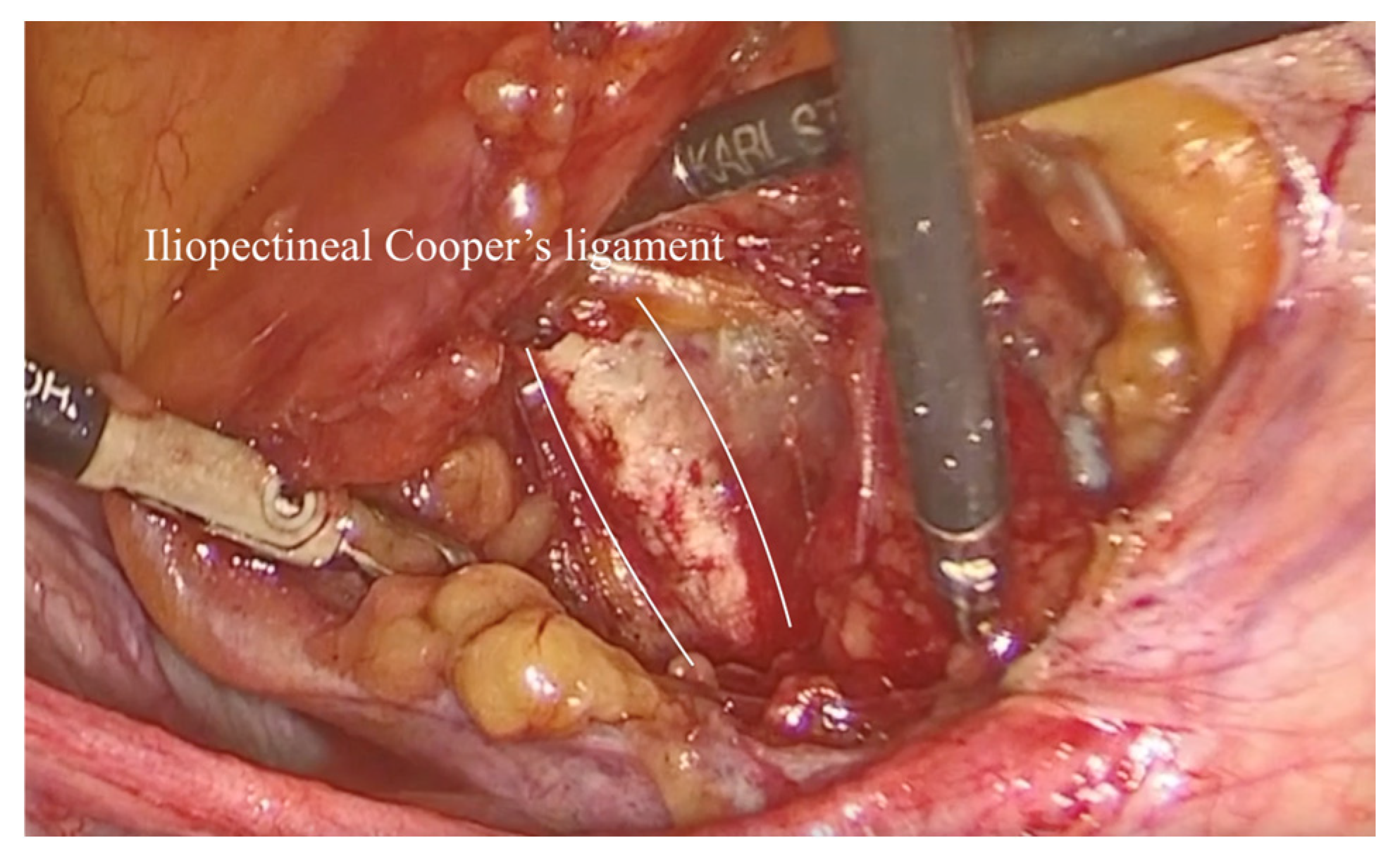 Diagnostics 15 00526 g003