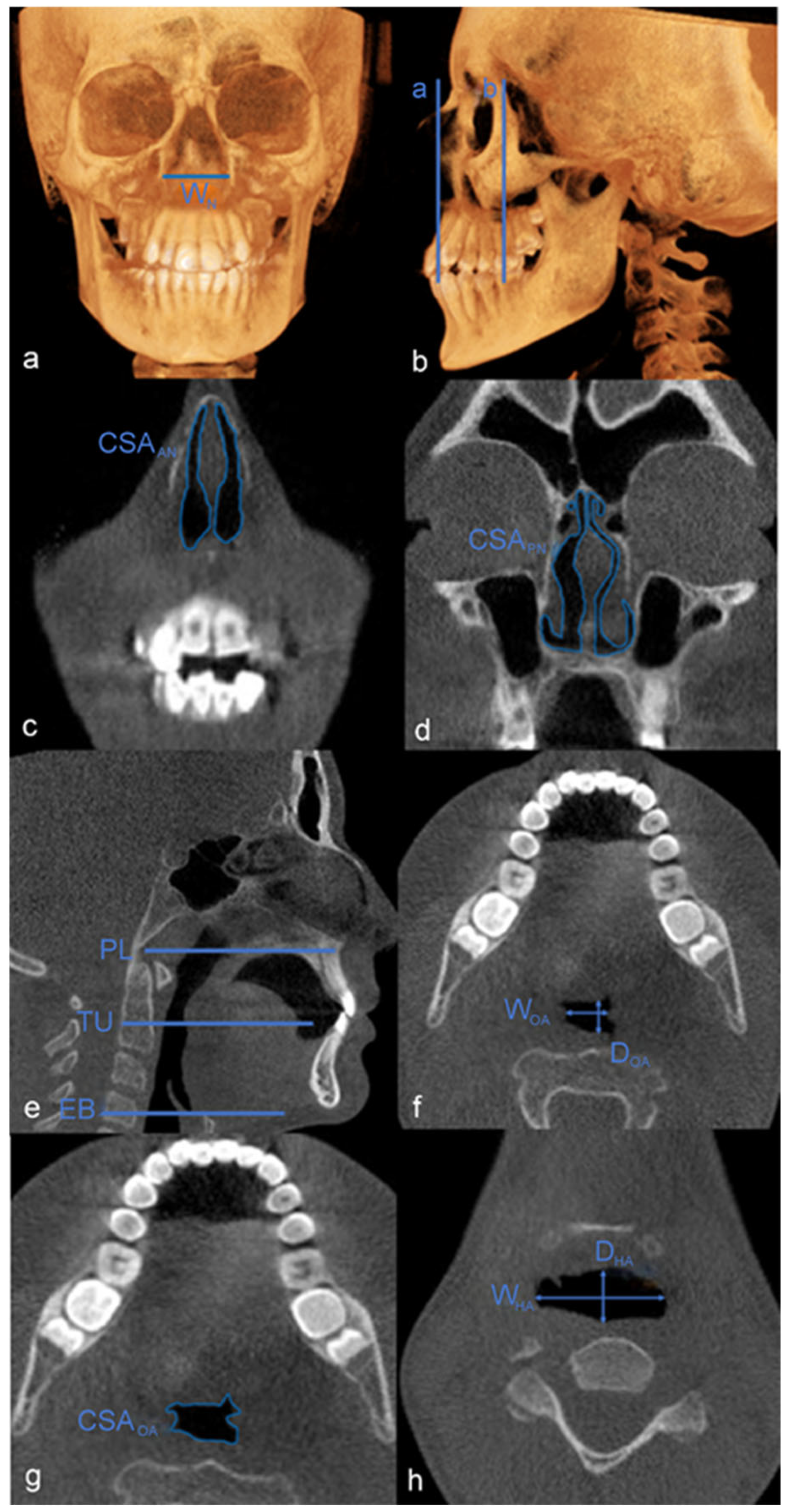 Diagnostics 15 00527 g001