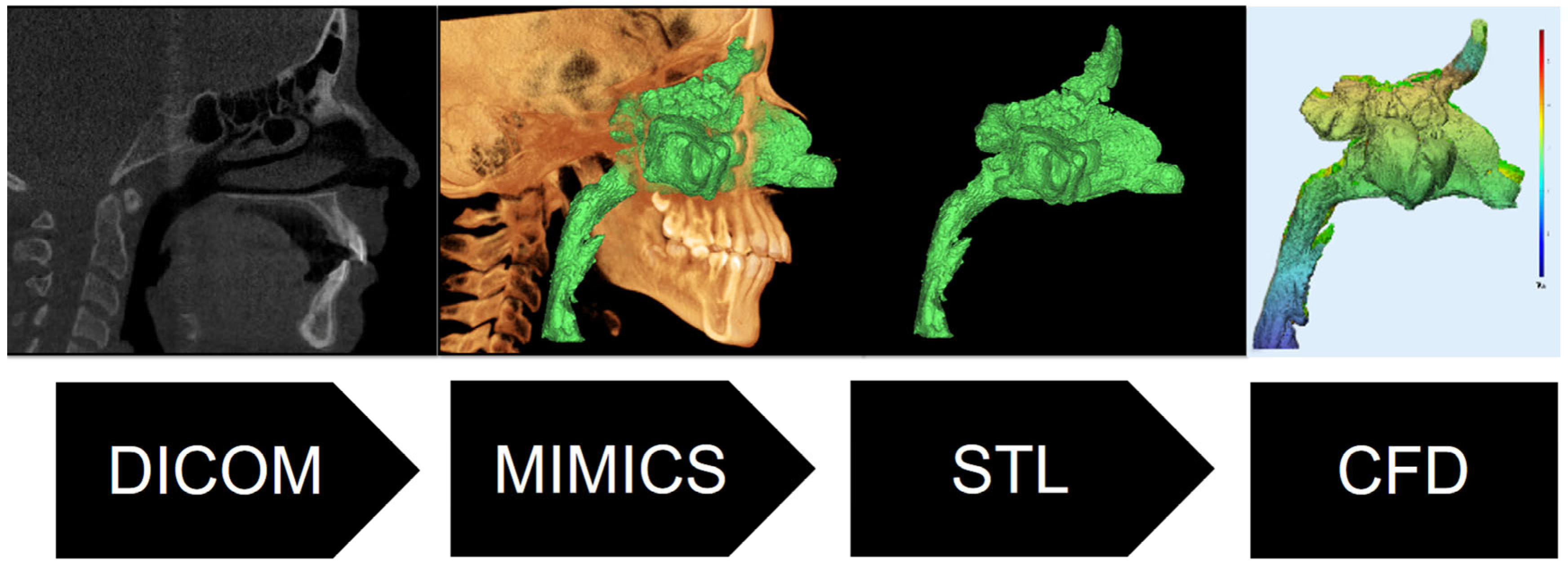 Diagnostics 15 00527 g002