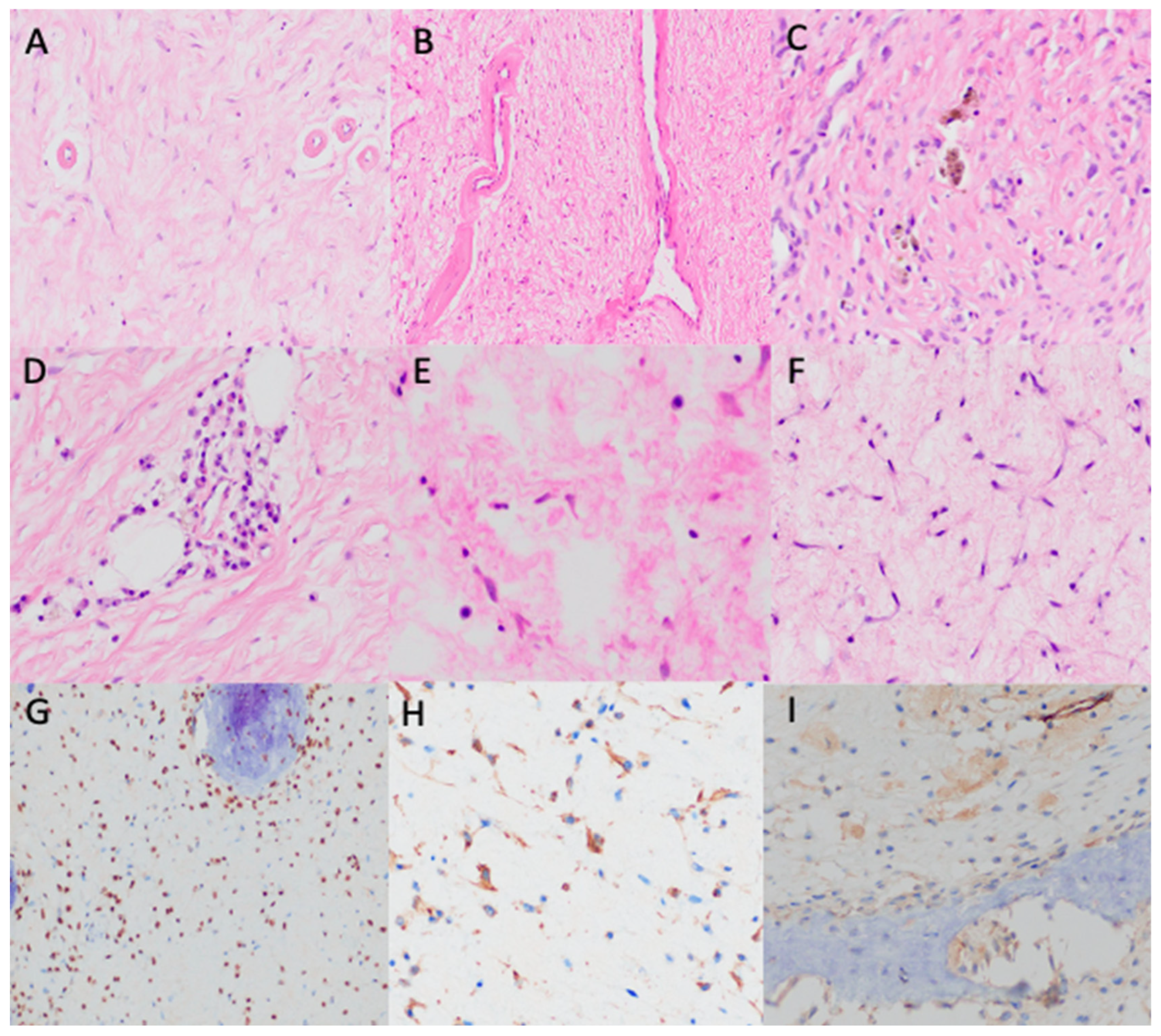 Diagnostics 15 00536 g003