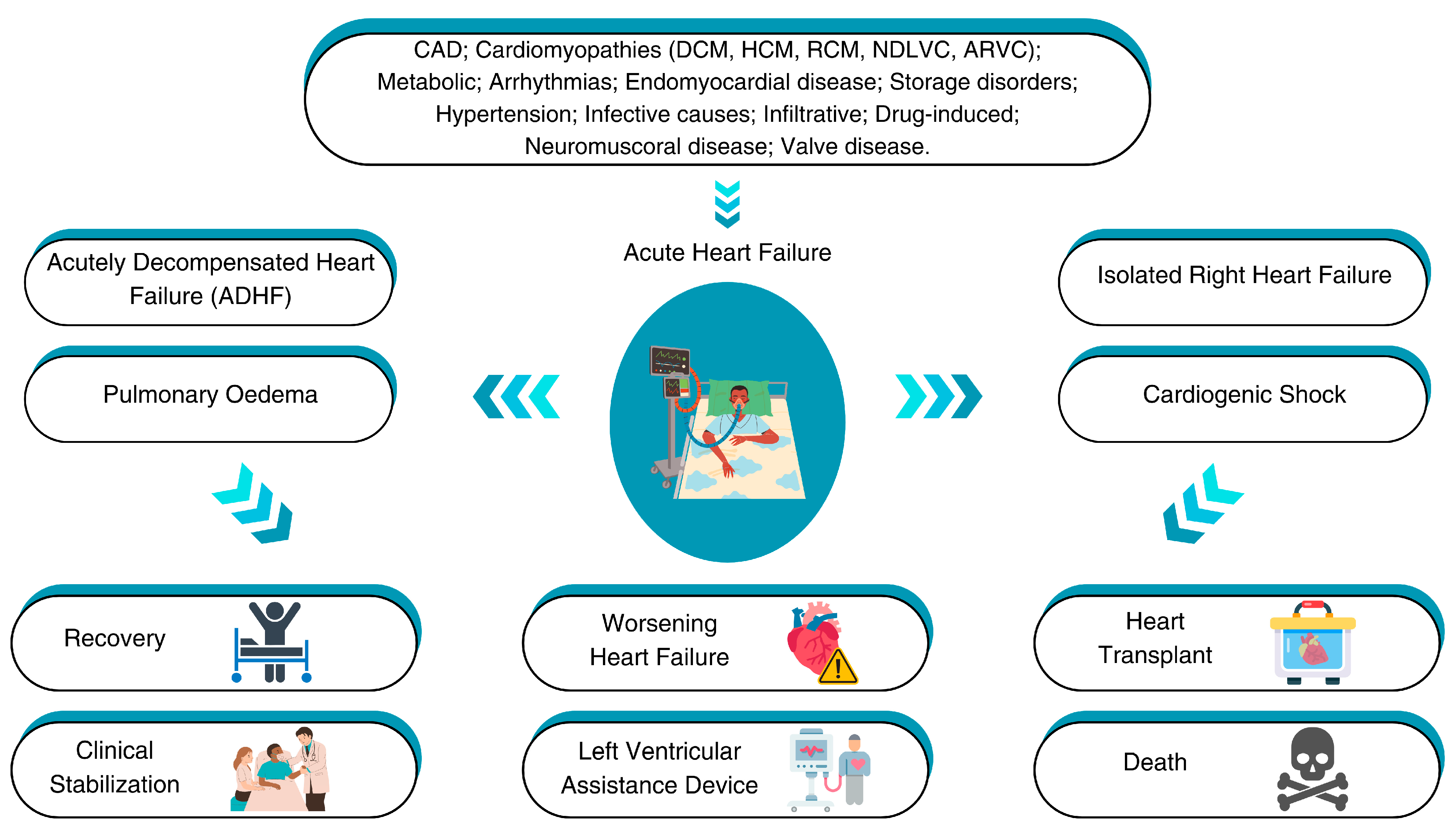Diagnostics 15 00540 g001