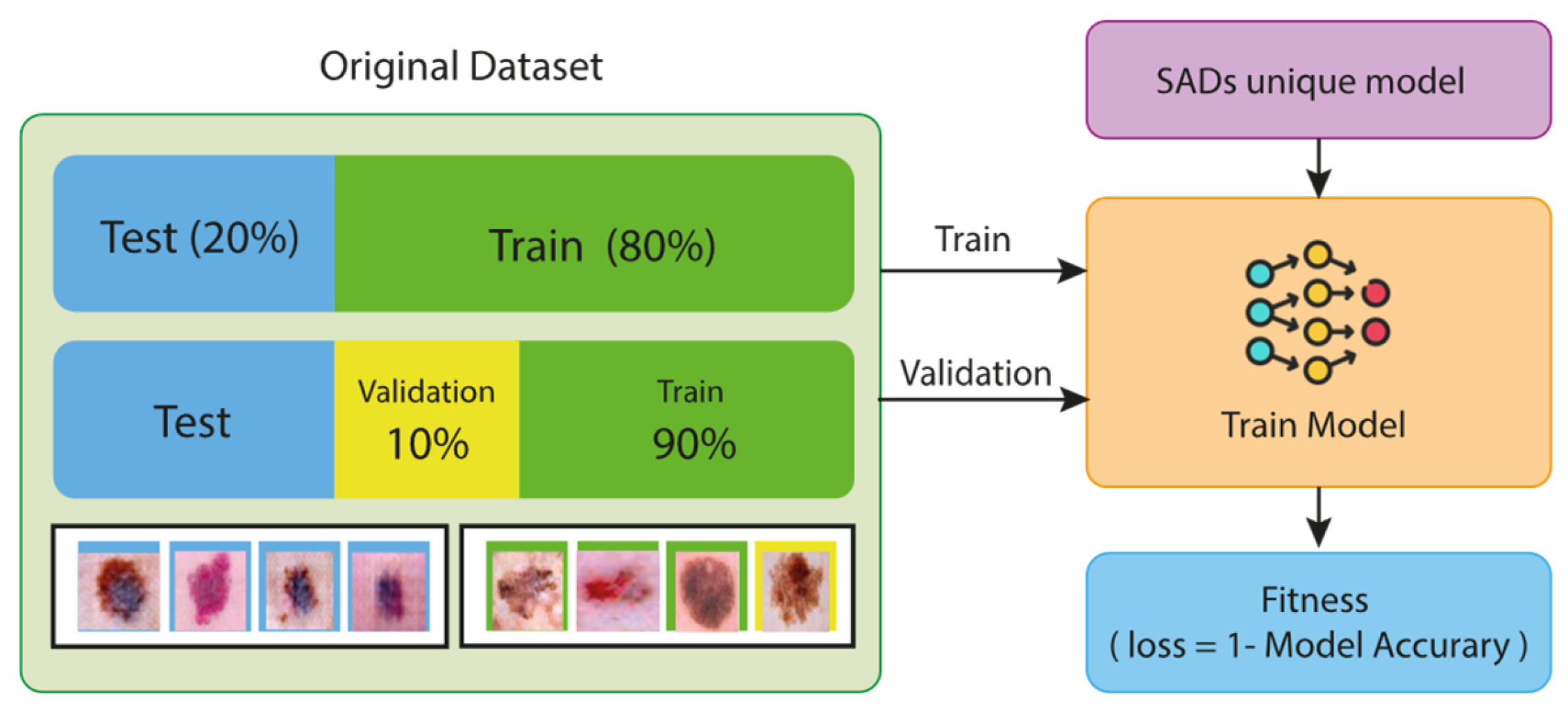 Diagnostics 15 00541 g008