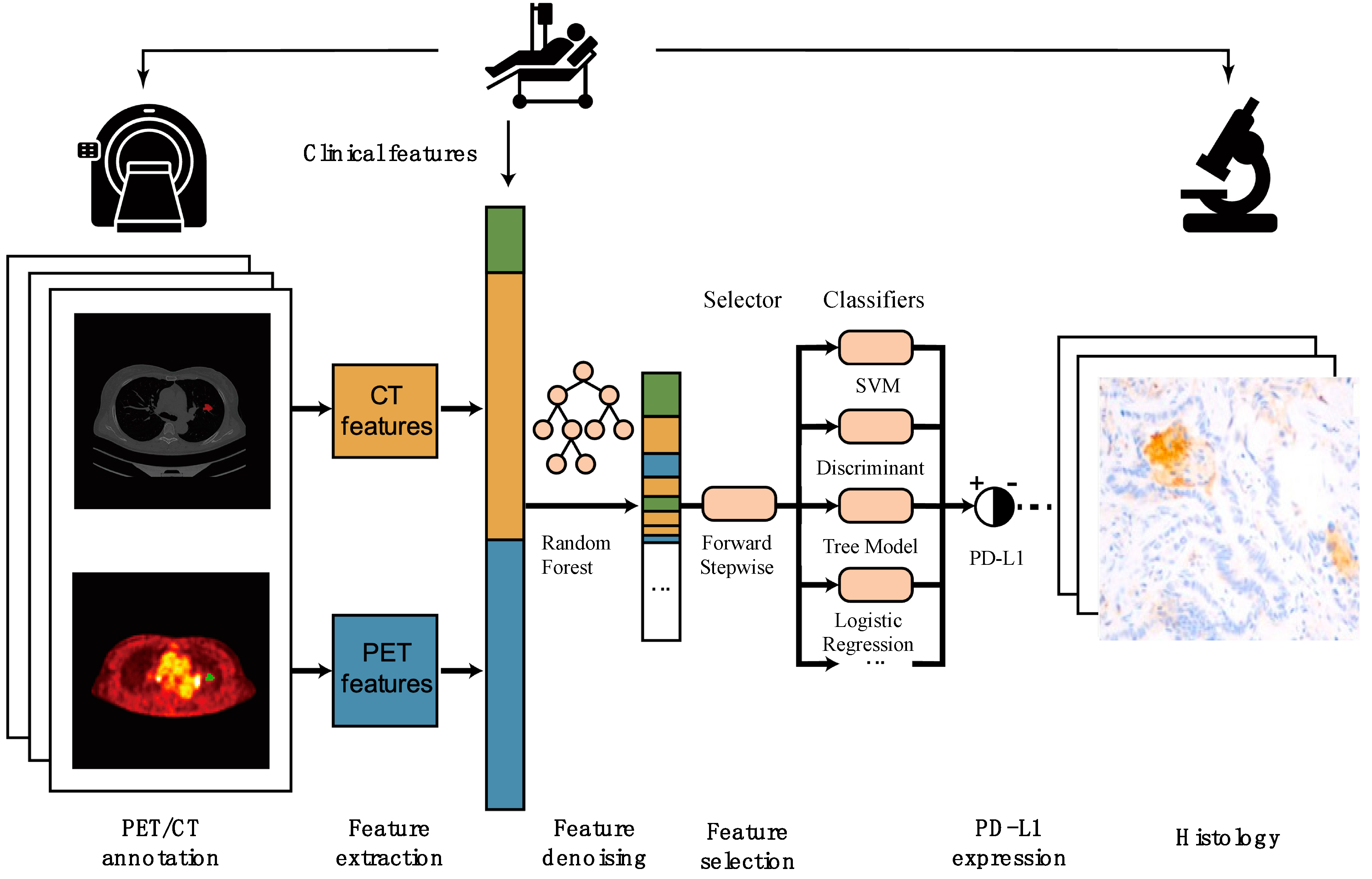Diagnostics 15 00543 g001