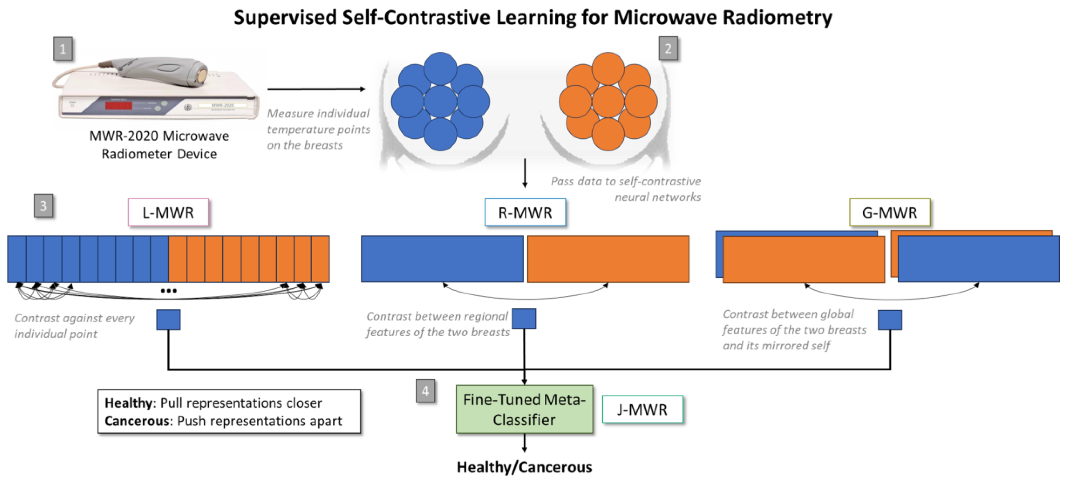 Diagnostics 15 00549 g001