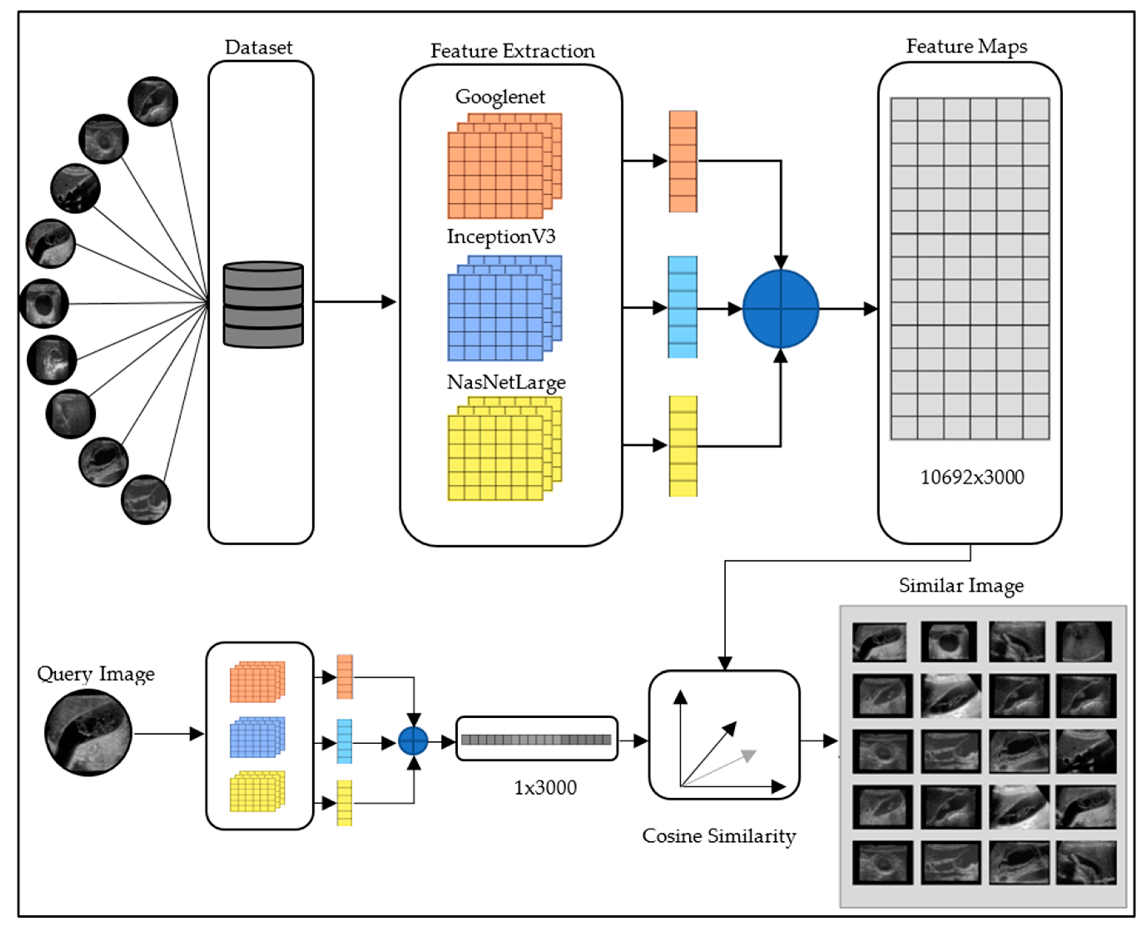 Diagnostics 15 00552 g003