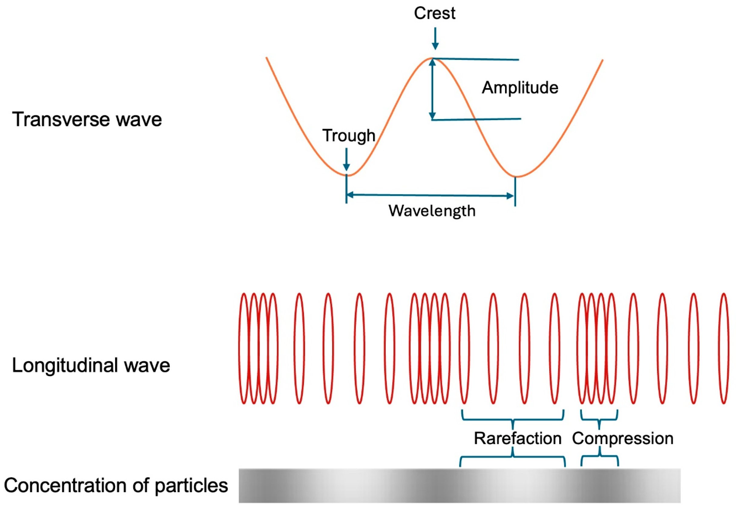 Diagnostics 15 00553 g013