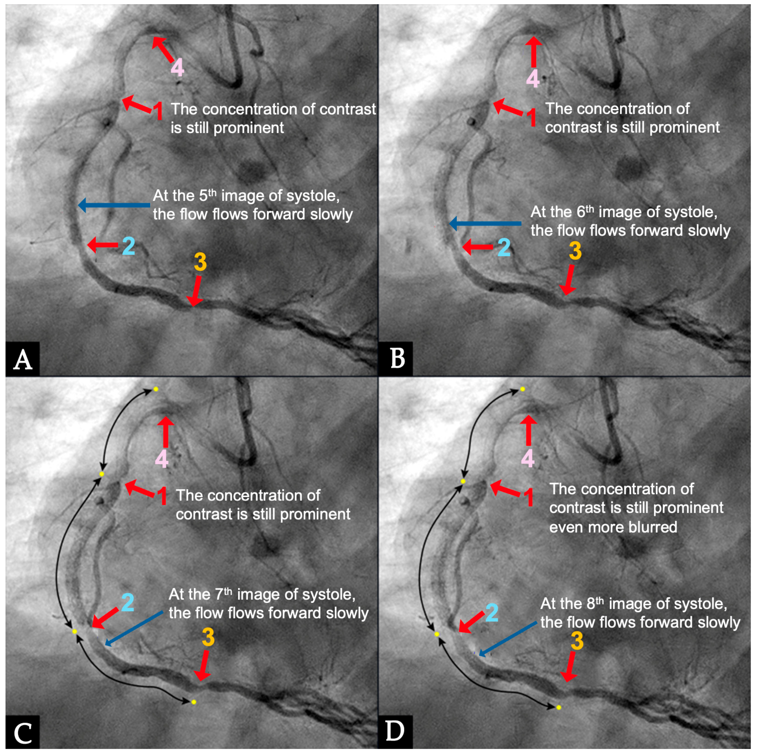 Diagnostics 15 00553 g018