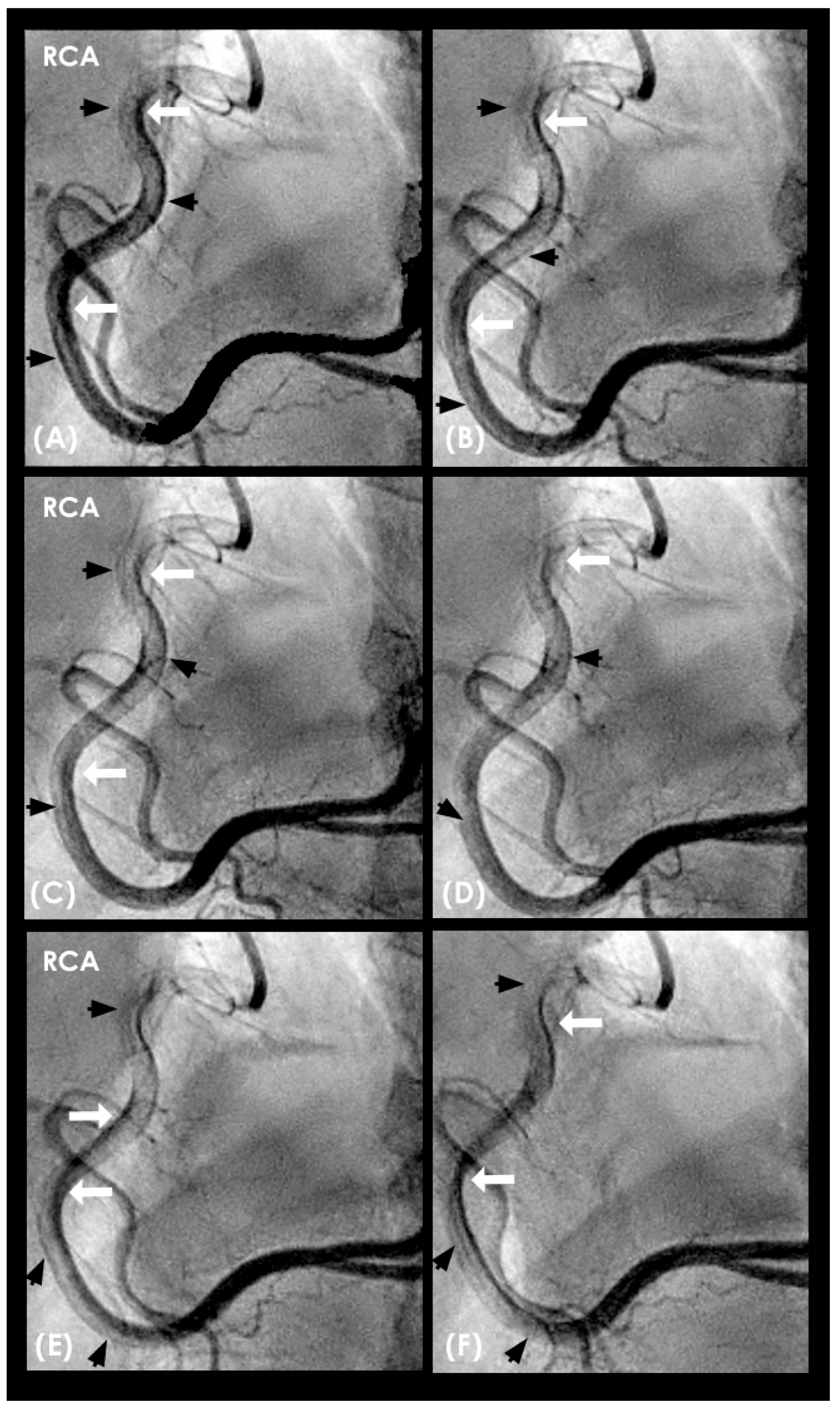 Diagnostics 15 00553 g020