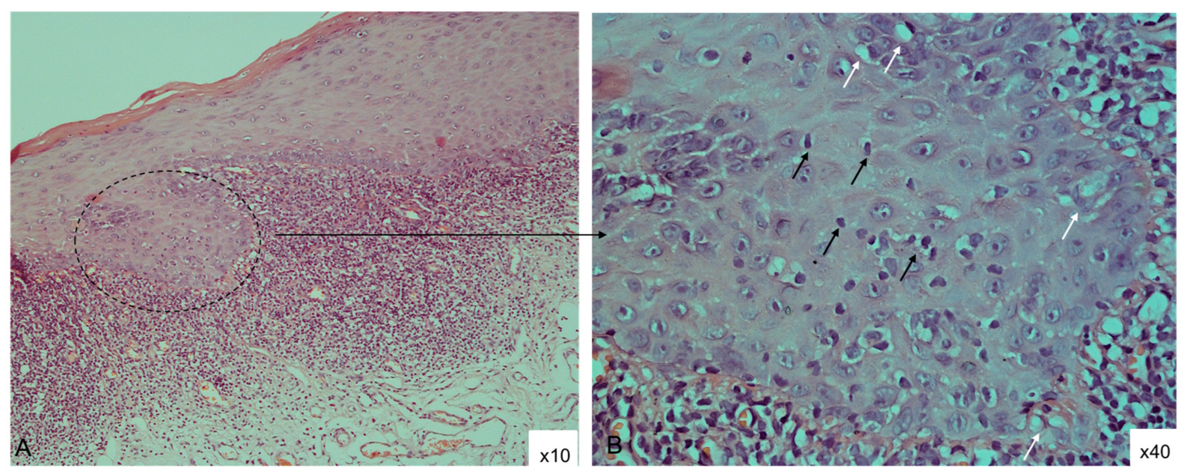 Diagnostics 15 00558 g001