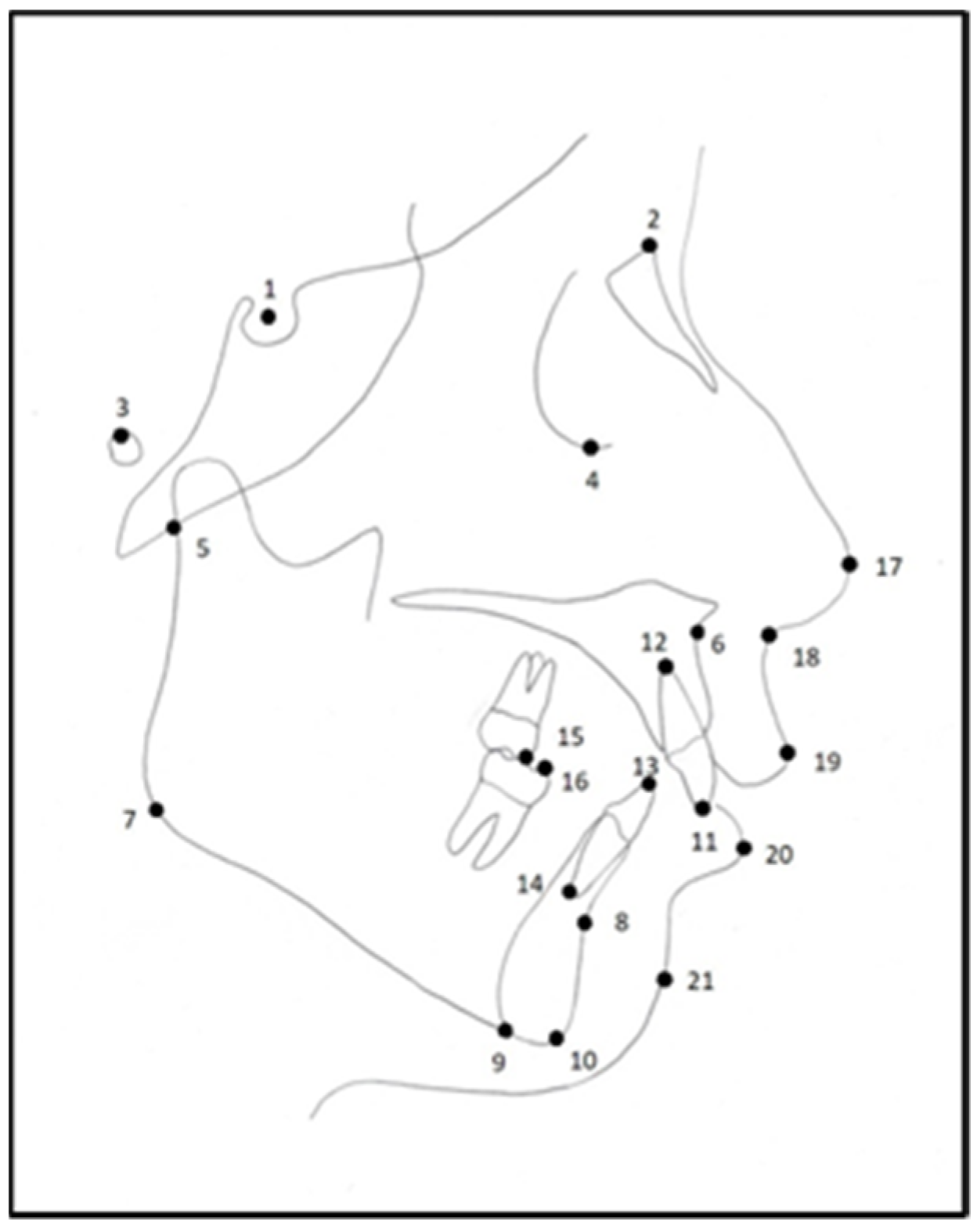 Diagnostics 15 00559 g001