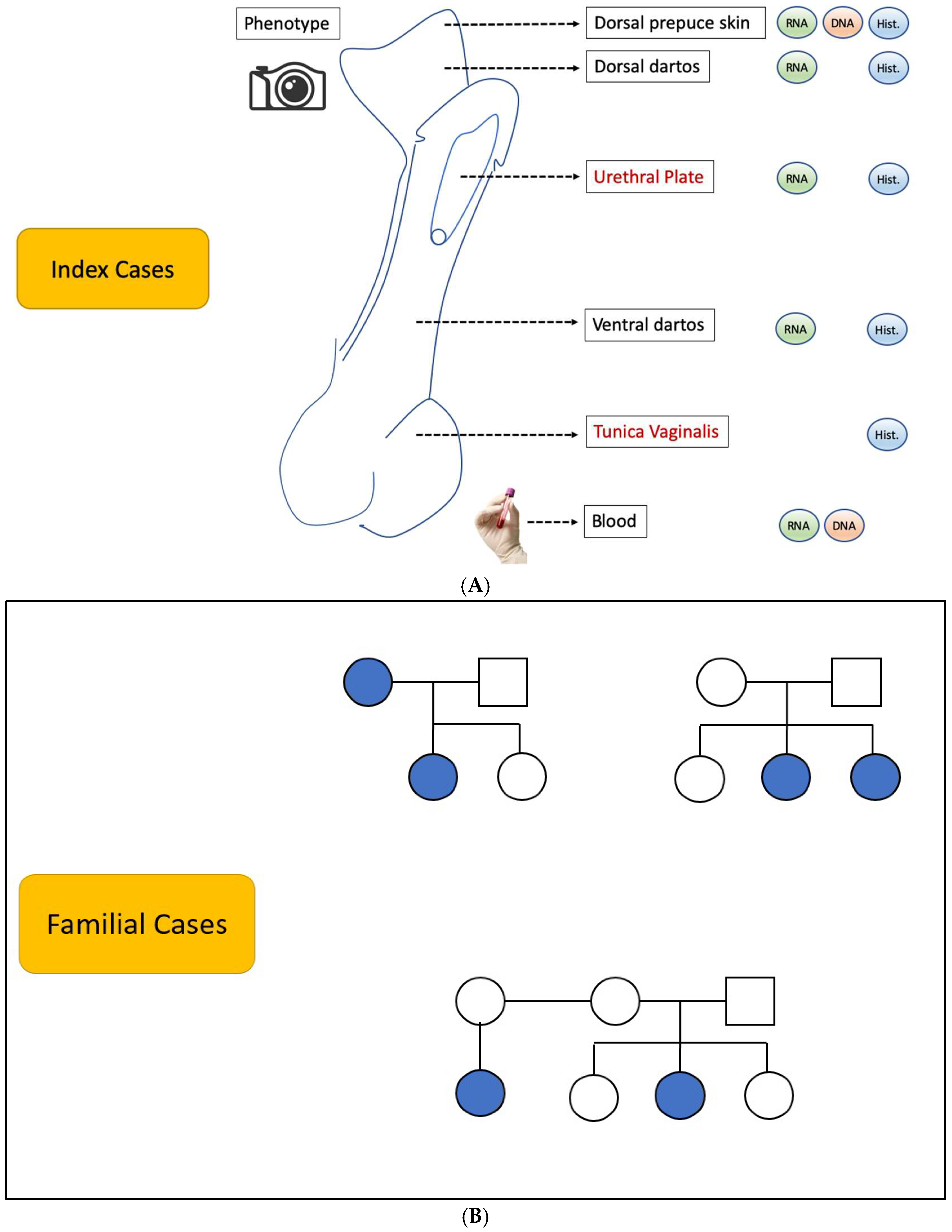 Diagnostics 15 00561 g001