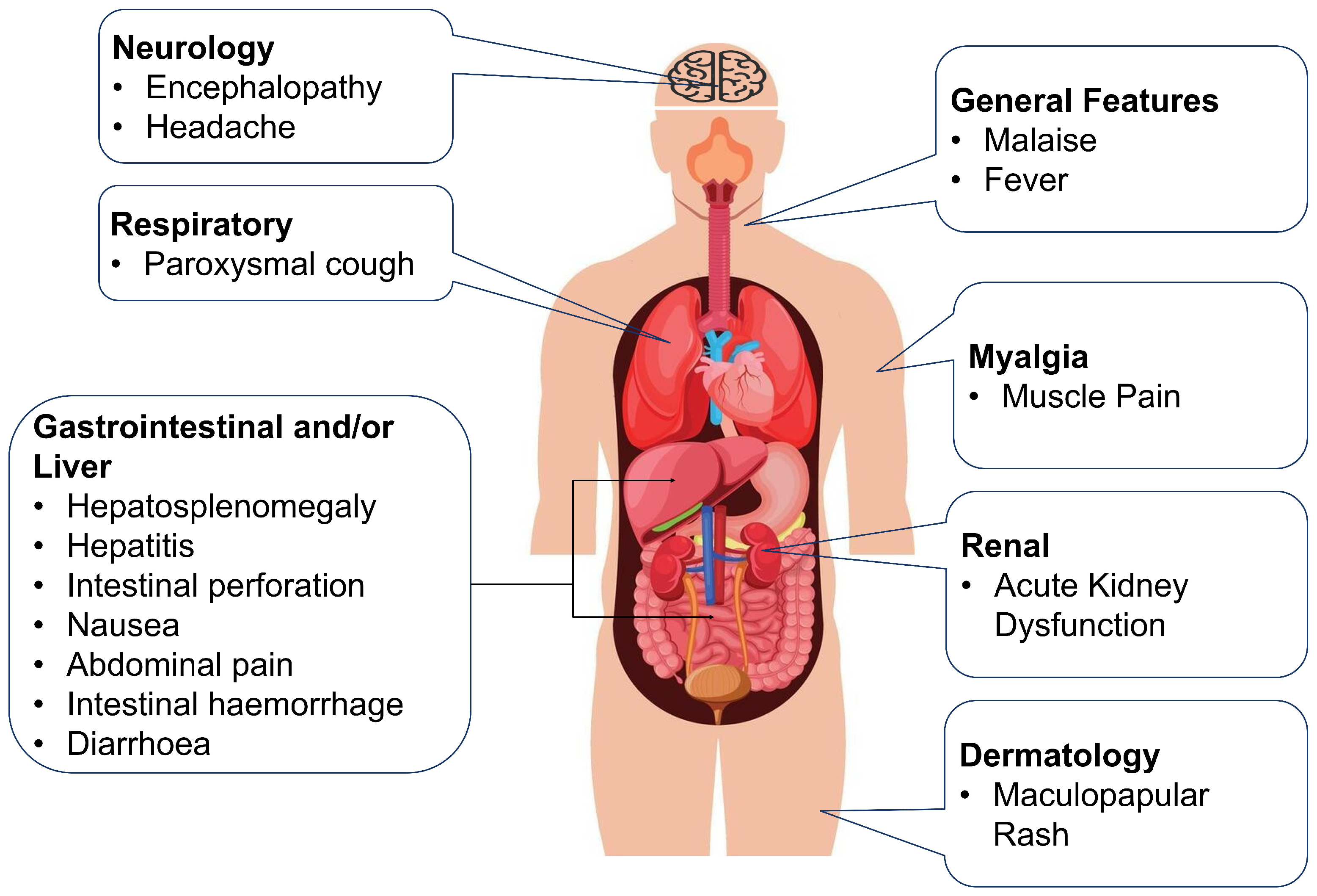 Diagnostics 15 00562 g001