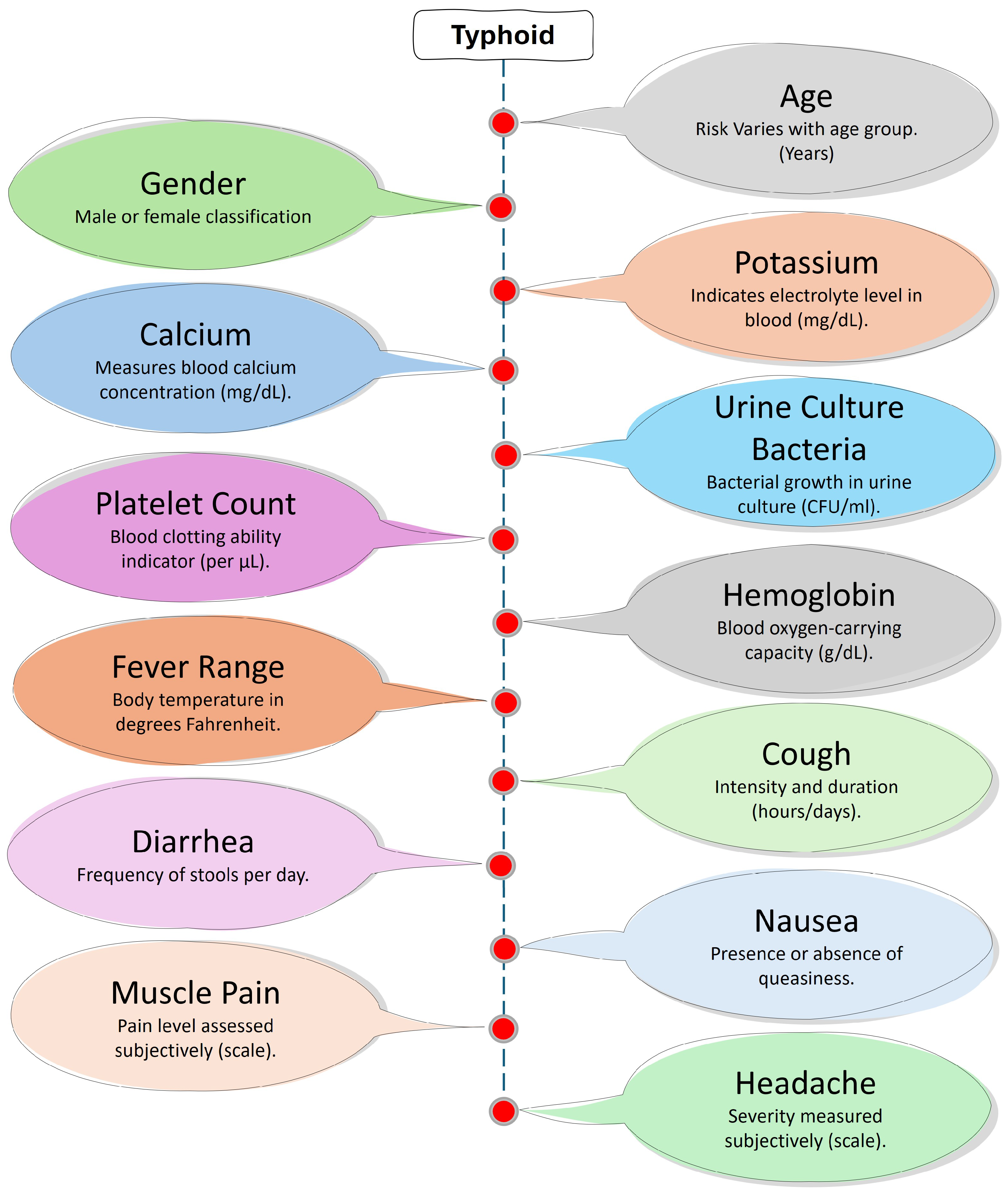 Diagnostics 15 00562 g003
