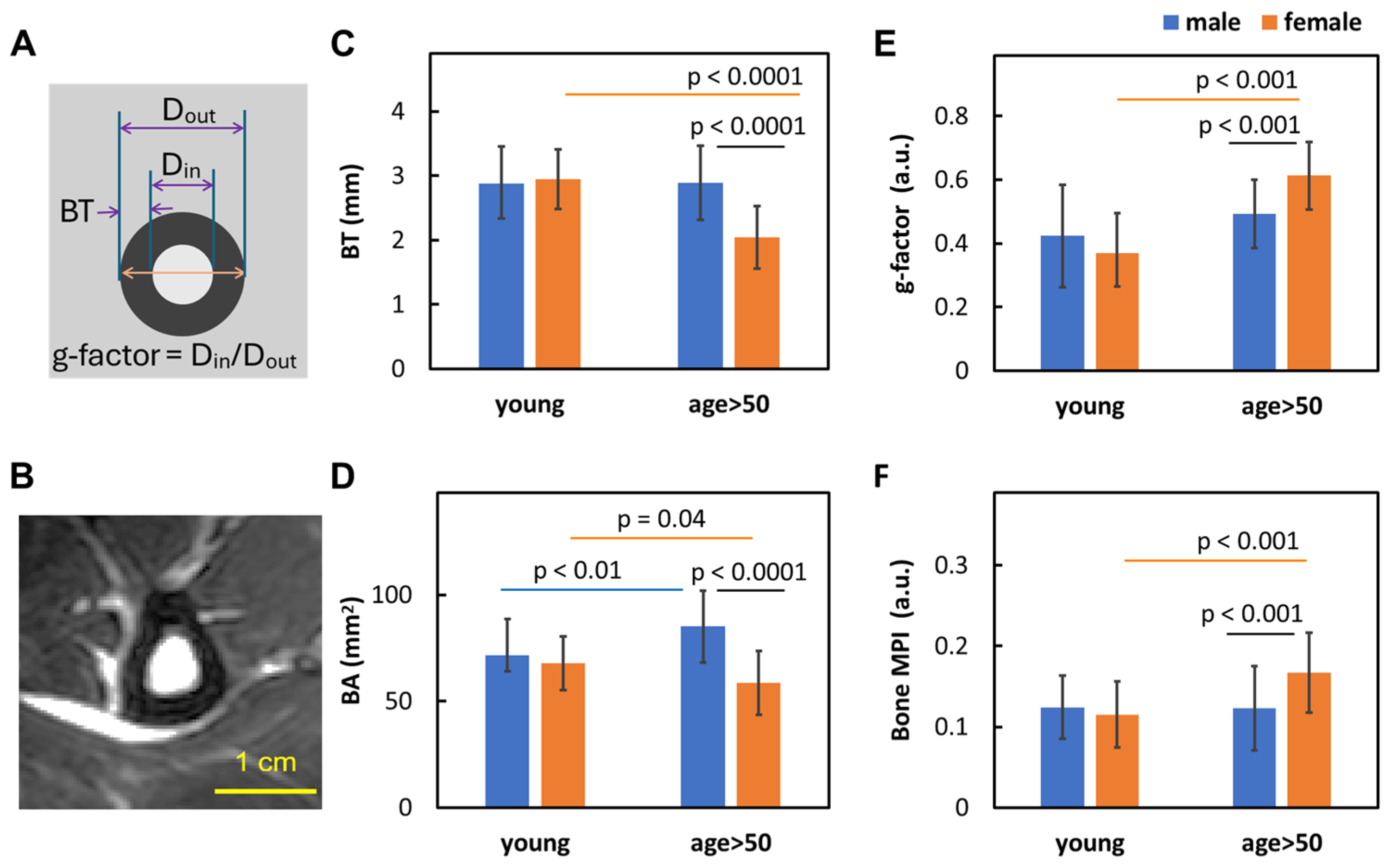 Diagnostics 15 00564 g002