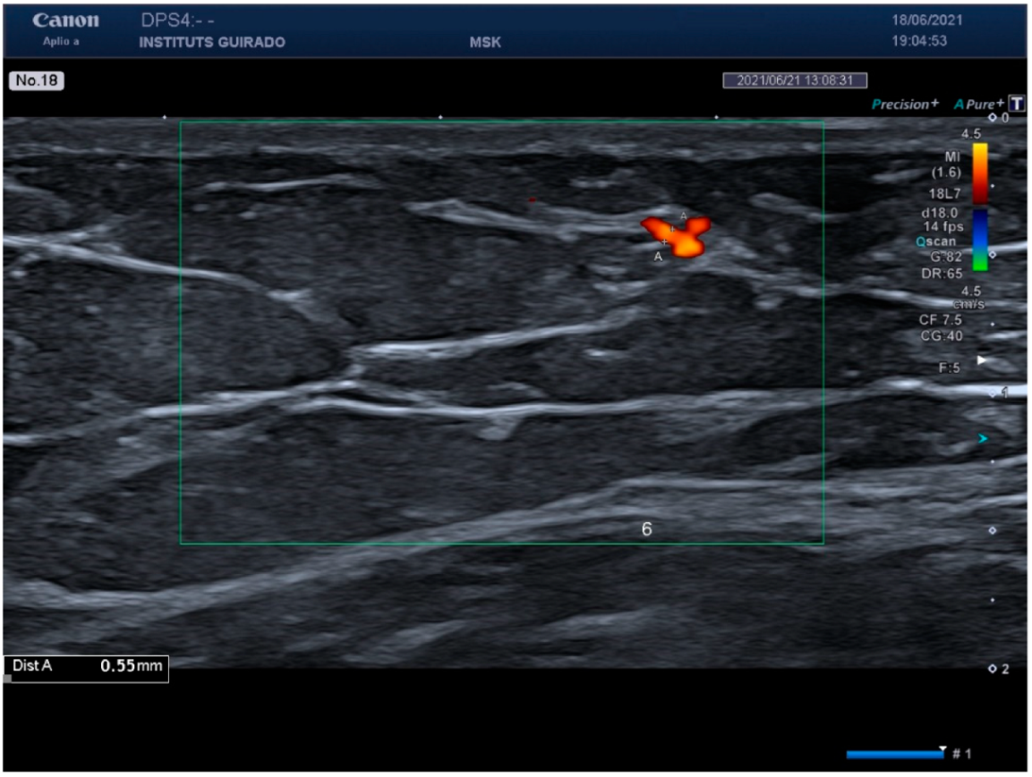 Diagnostics 15 00569 g003