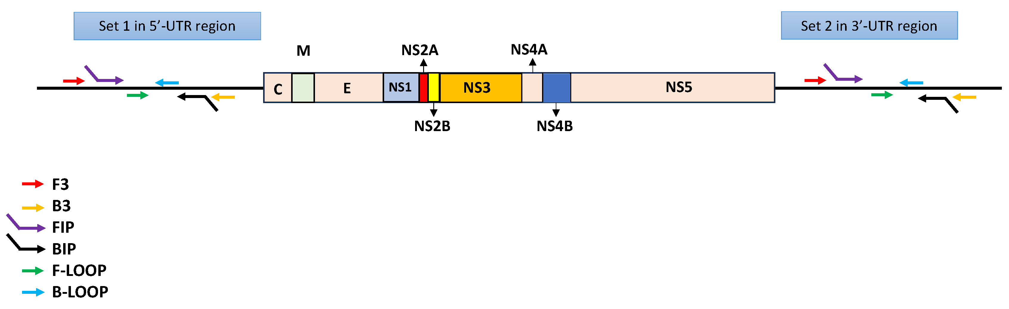 Diagnostics 15 00570 g001