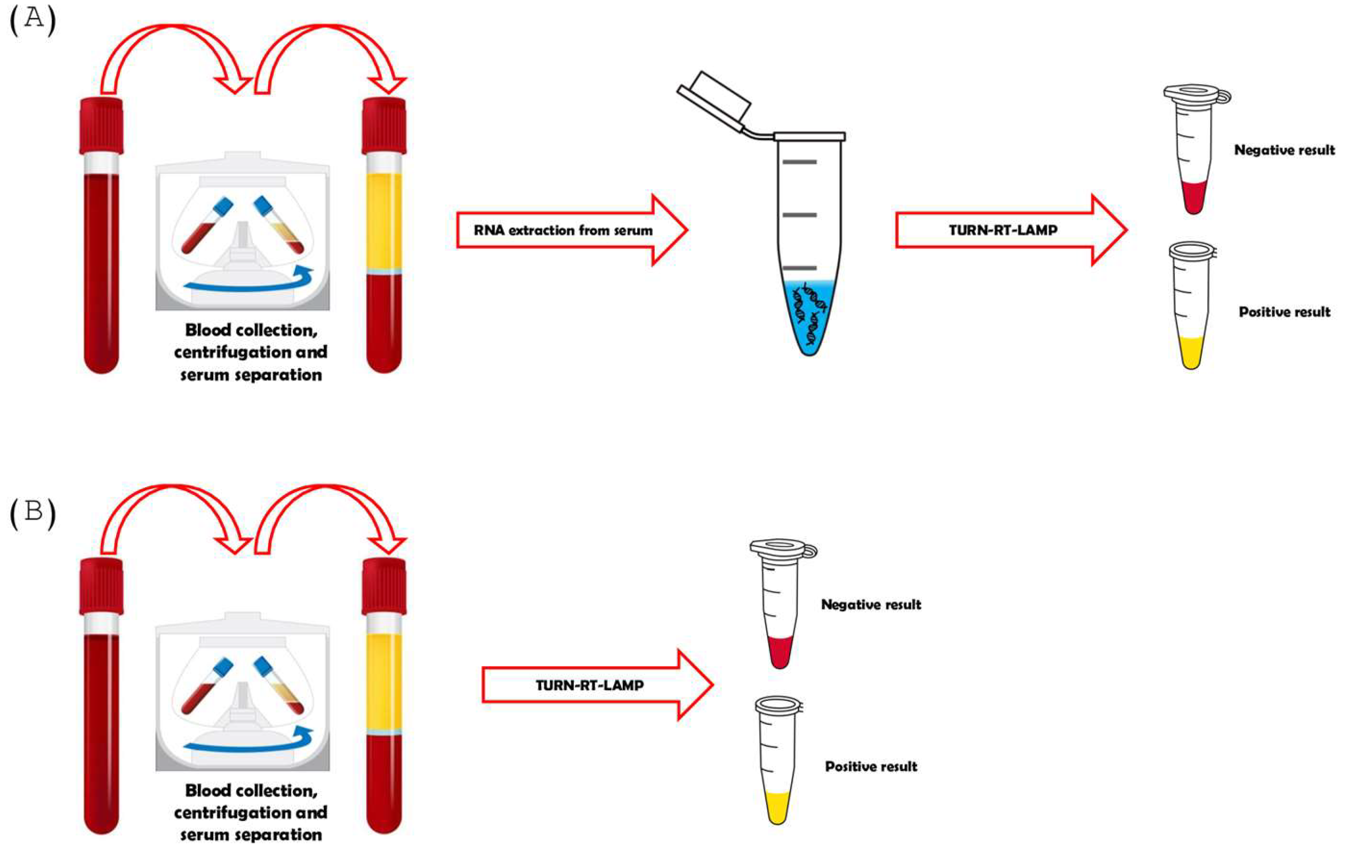 Diagnostics 15 00570 g002