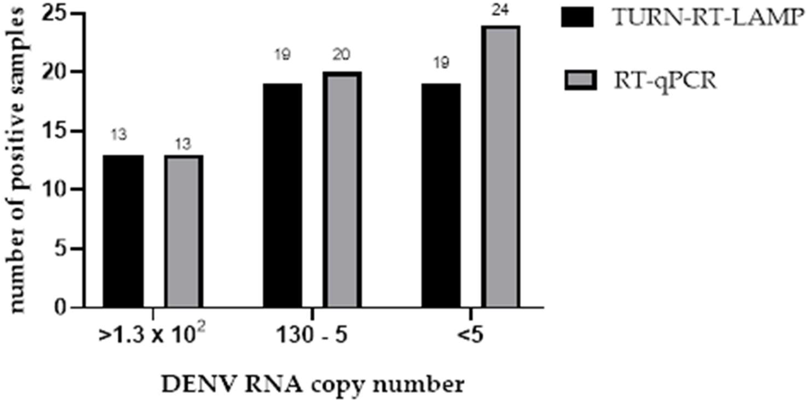Diagnostics 15 00570 g005