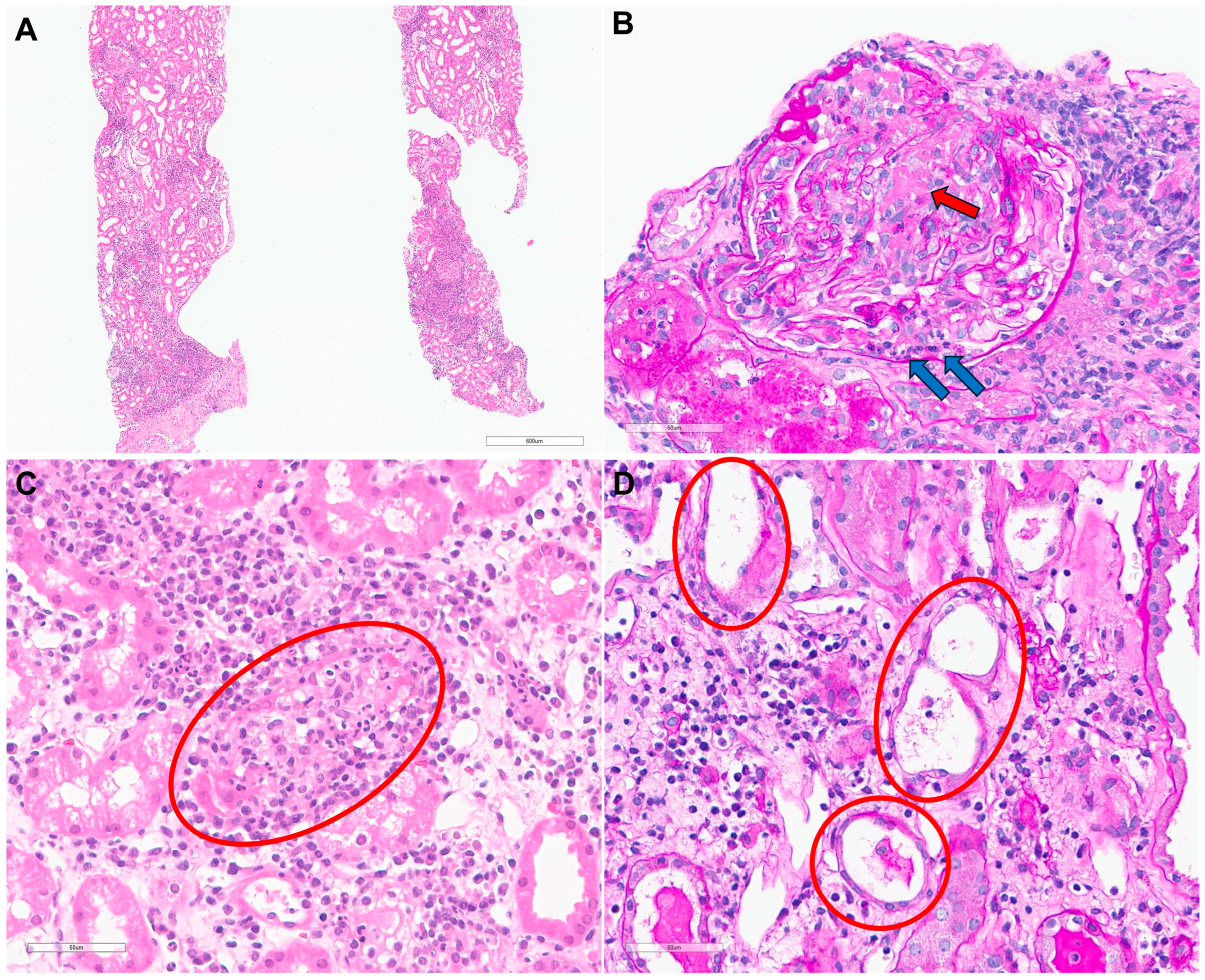 Diagnostics 15 00574 g002